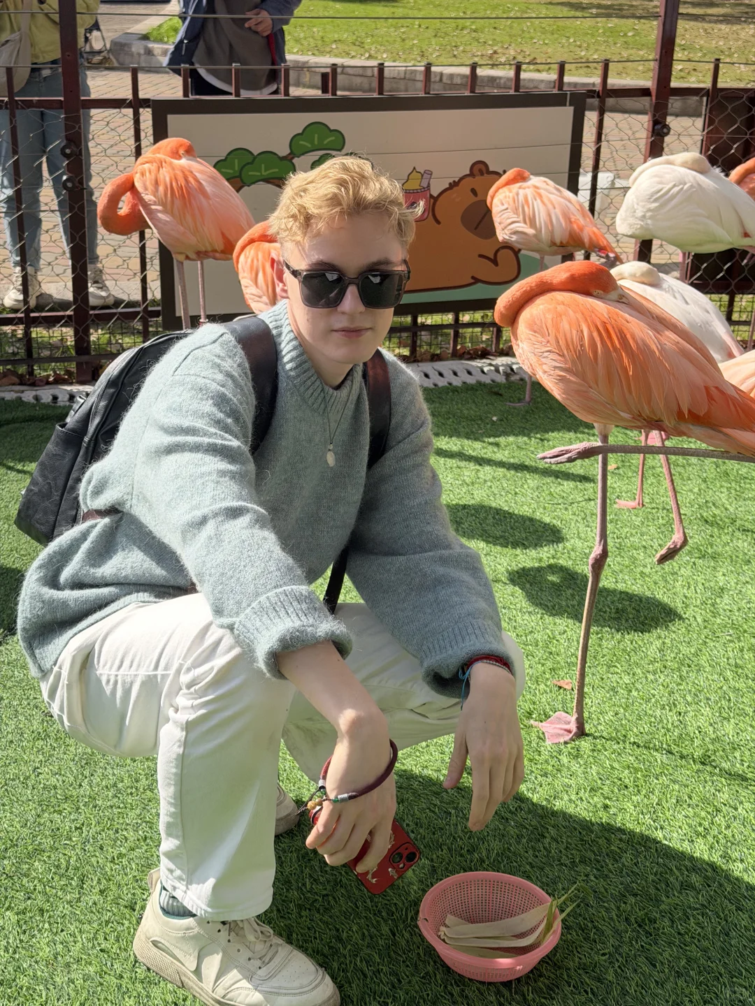 就是您的瑞典尤物，不是您的瑞典动物!