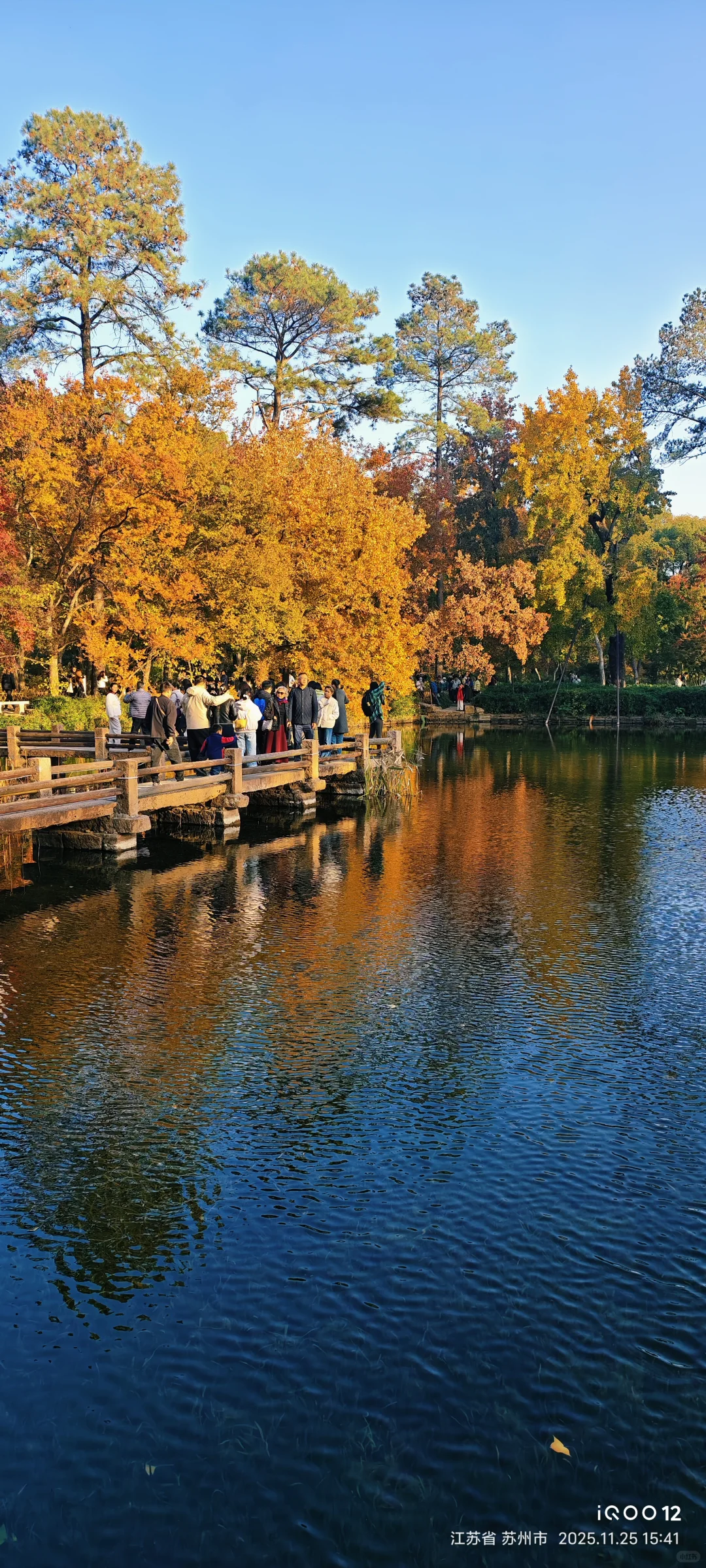 白毛浮绿水，红掌拨清波，天平山秋景美如画