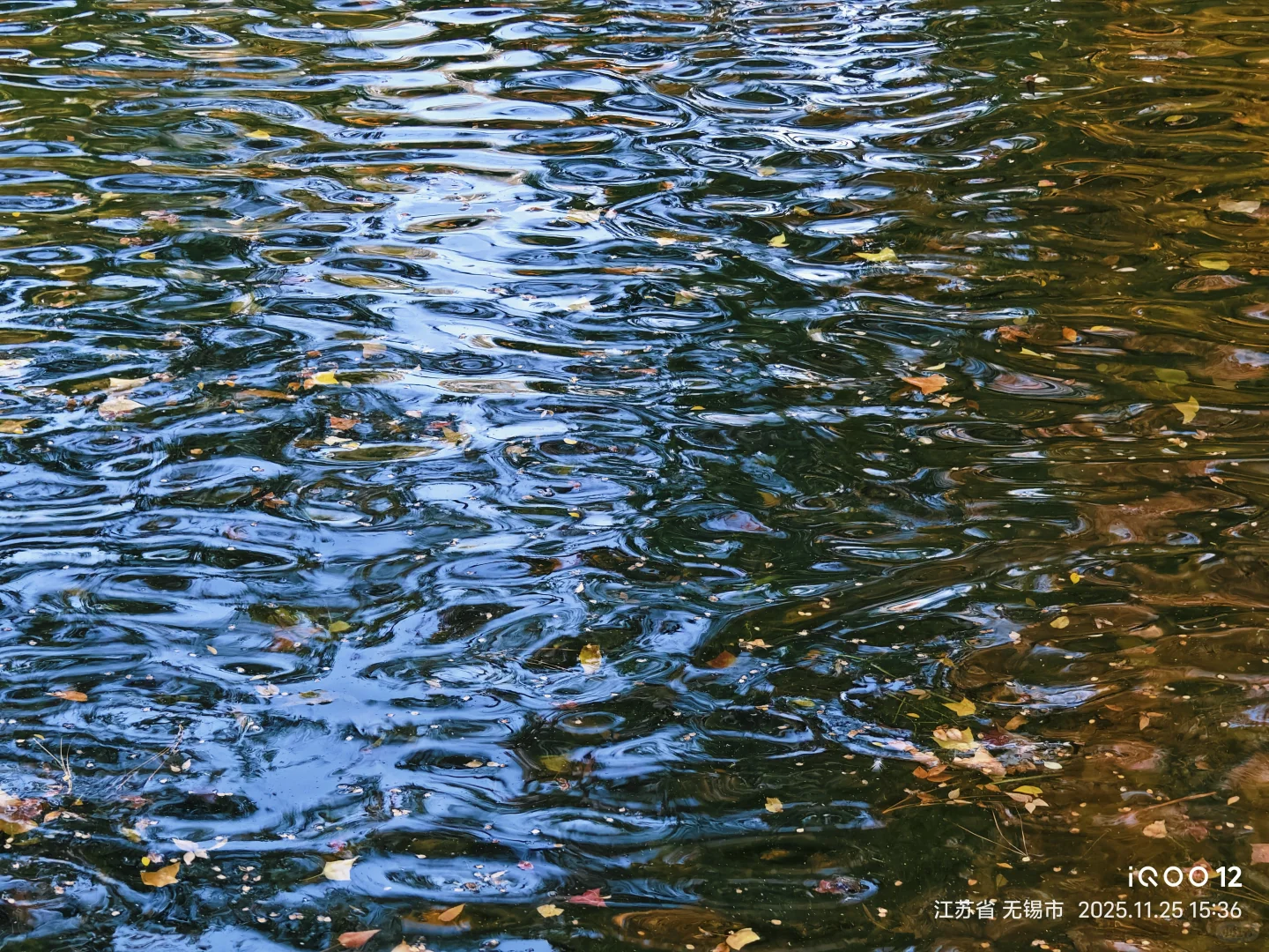 白毛浮绿水，红掌拨清波，天平山秋景美如画