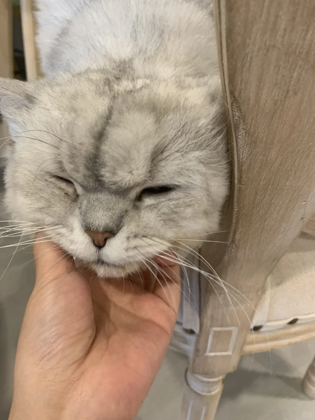 我只是犯了全天下女人都会犯的错🤫