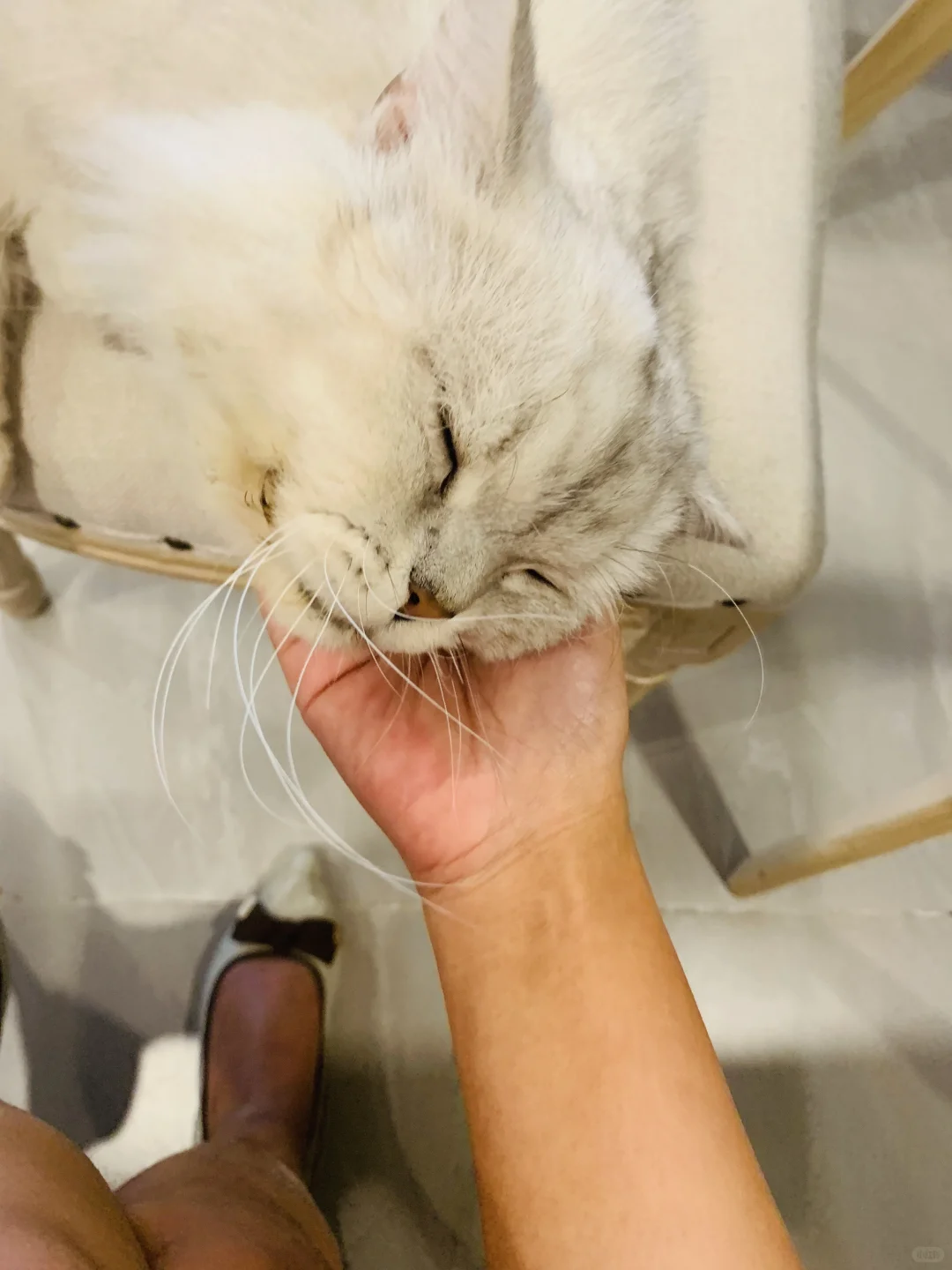 我只是犯了全天下女人都会犯的错🤫