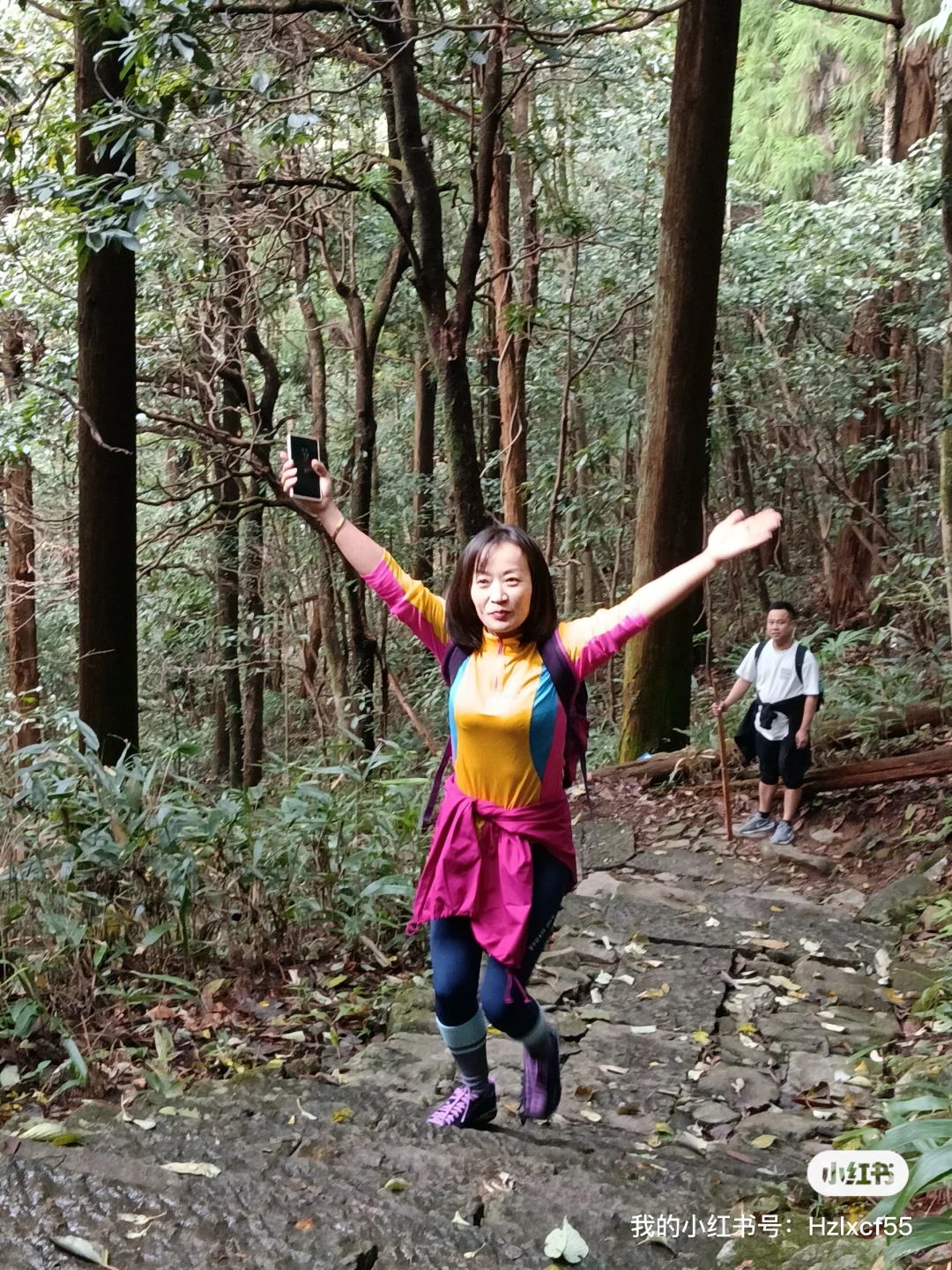 秋天的天目山#大树王#11月29日#杭州组团