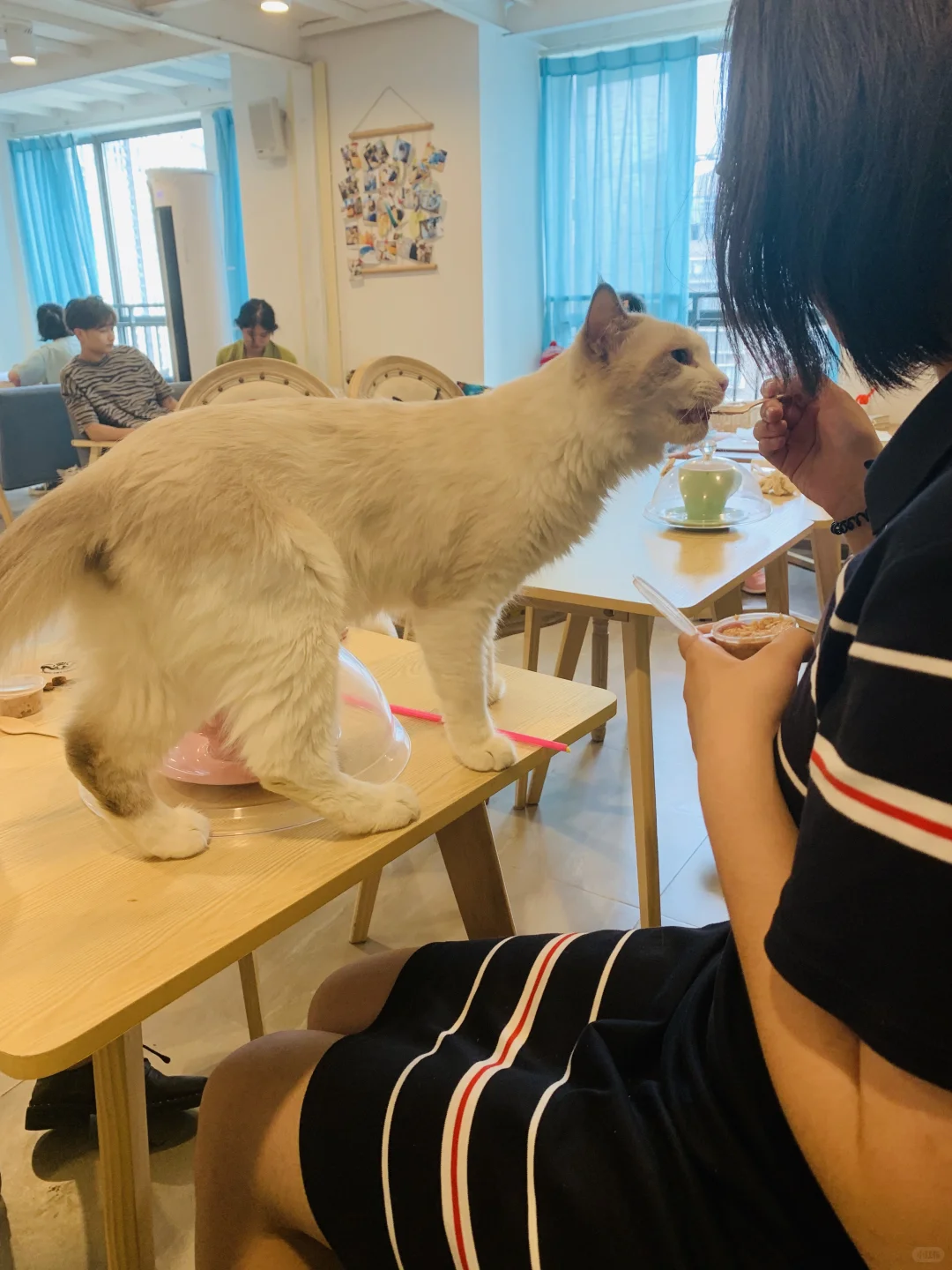 我只是犯了全天下女人都会犯的错🤫