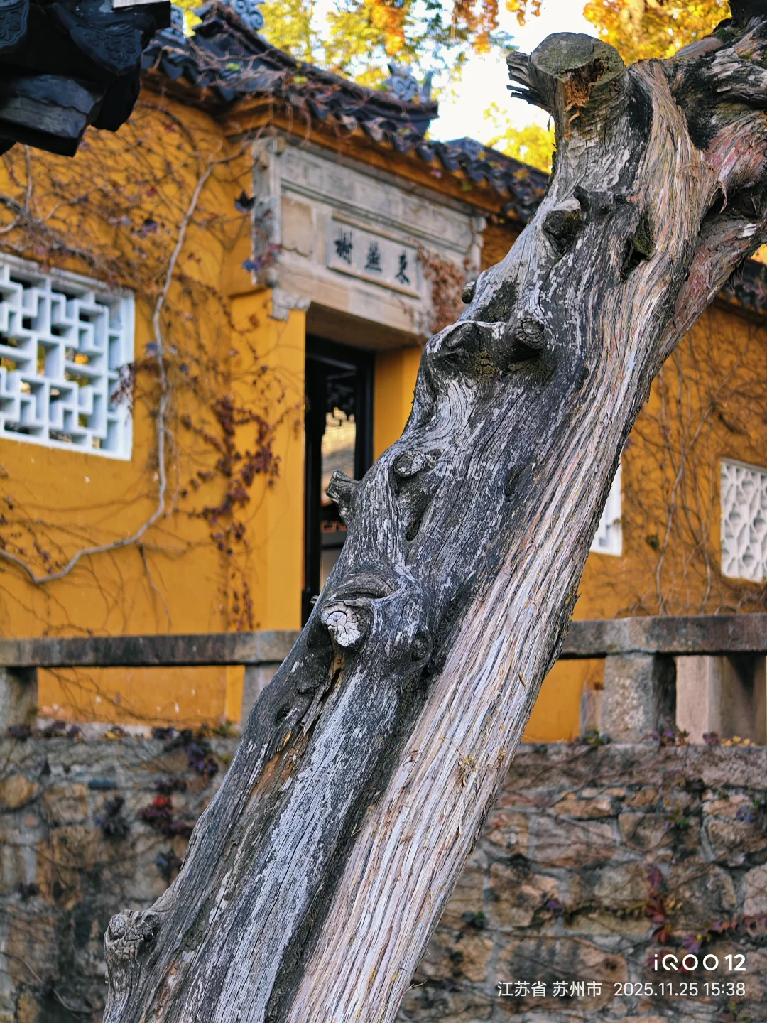 白毛浮绿水，红掌拨清波，天平山秋景美如画