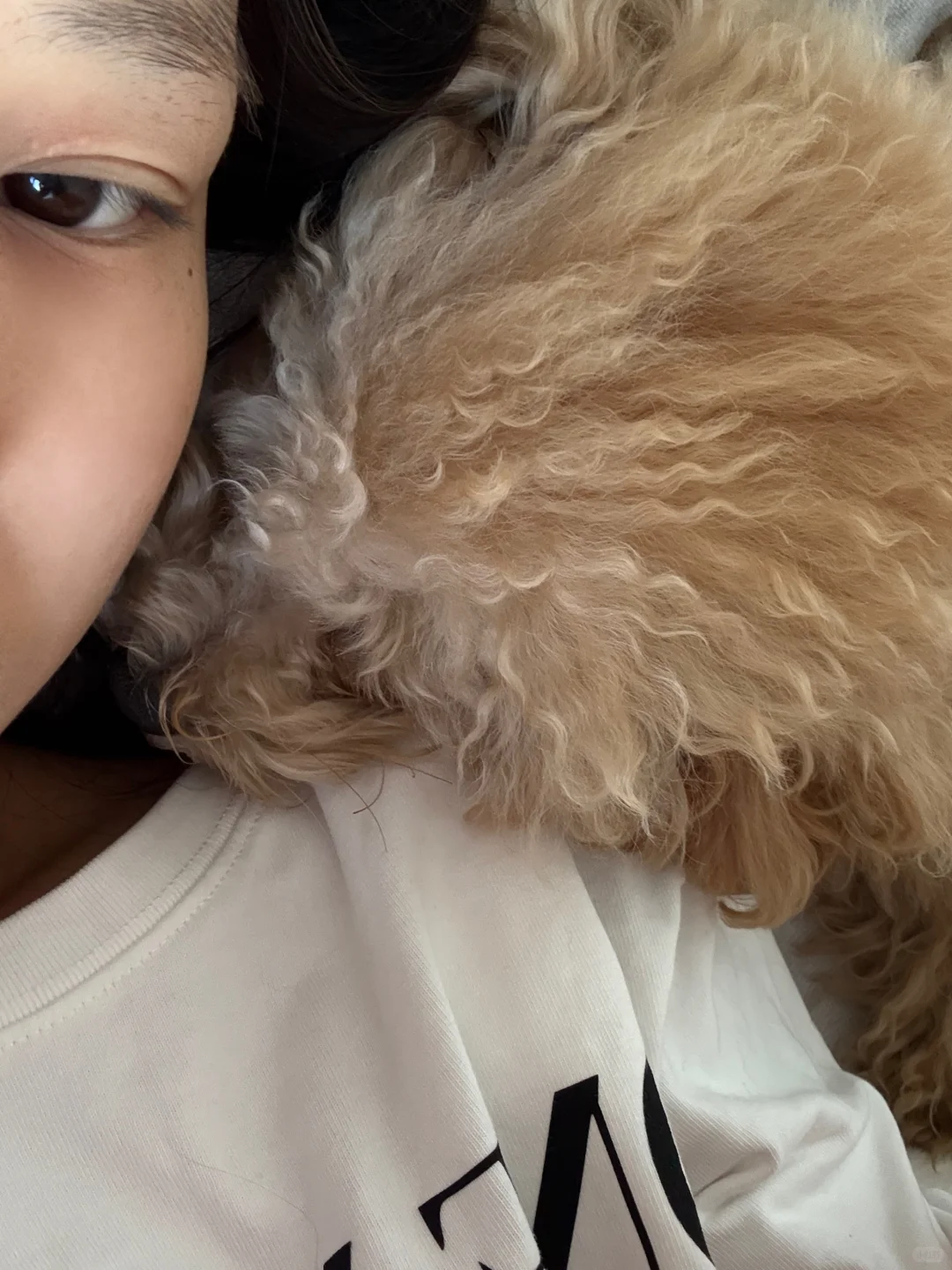 分享今日的粘人修狗🐶~