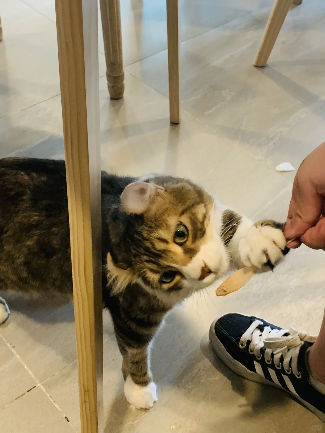 我只是犯了全天下女人都会犯的错🤫