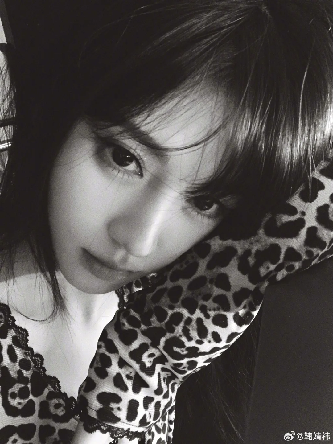 嗯对就用看狗的眼神看我