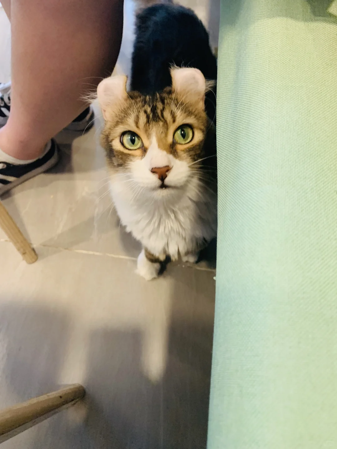 我只是犯了全天下女人都会犯的错🤫