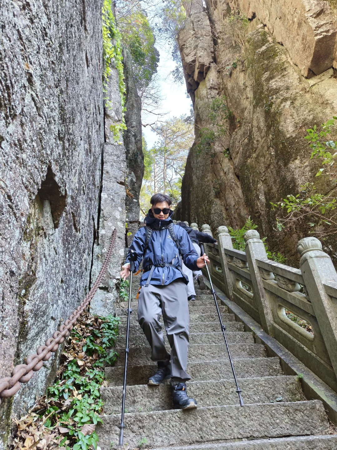 天目山风景#大树王#11月29日#杭州组织团