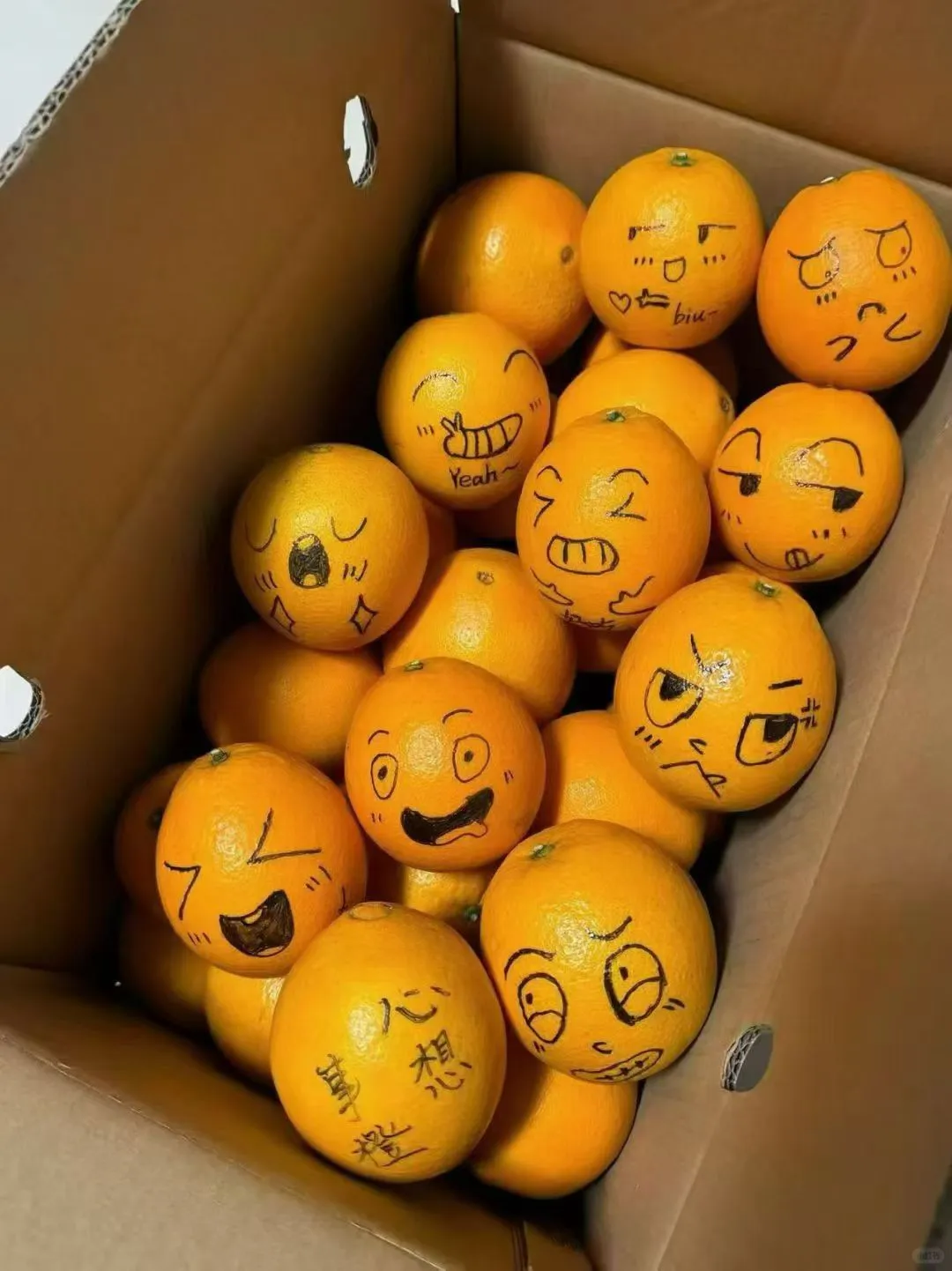 谁懂啊，我家果园的橙子长“表情”了