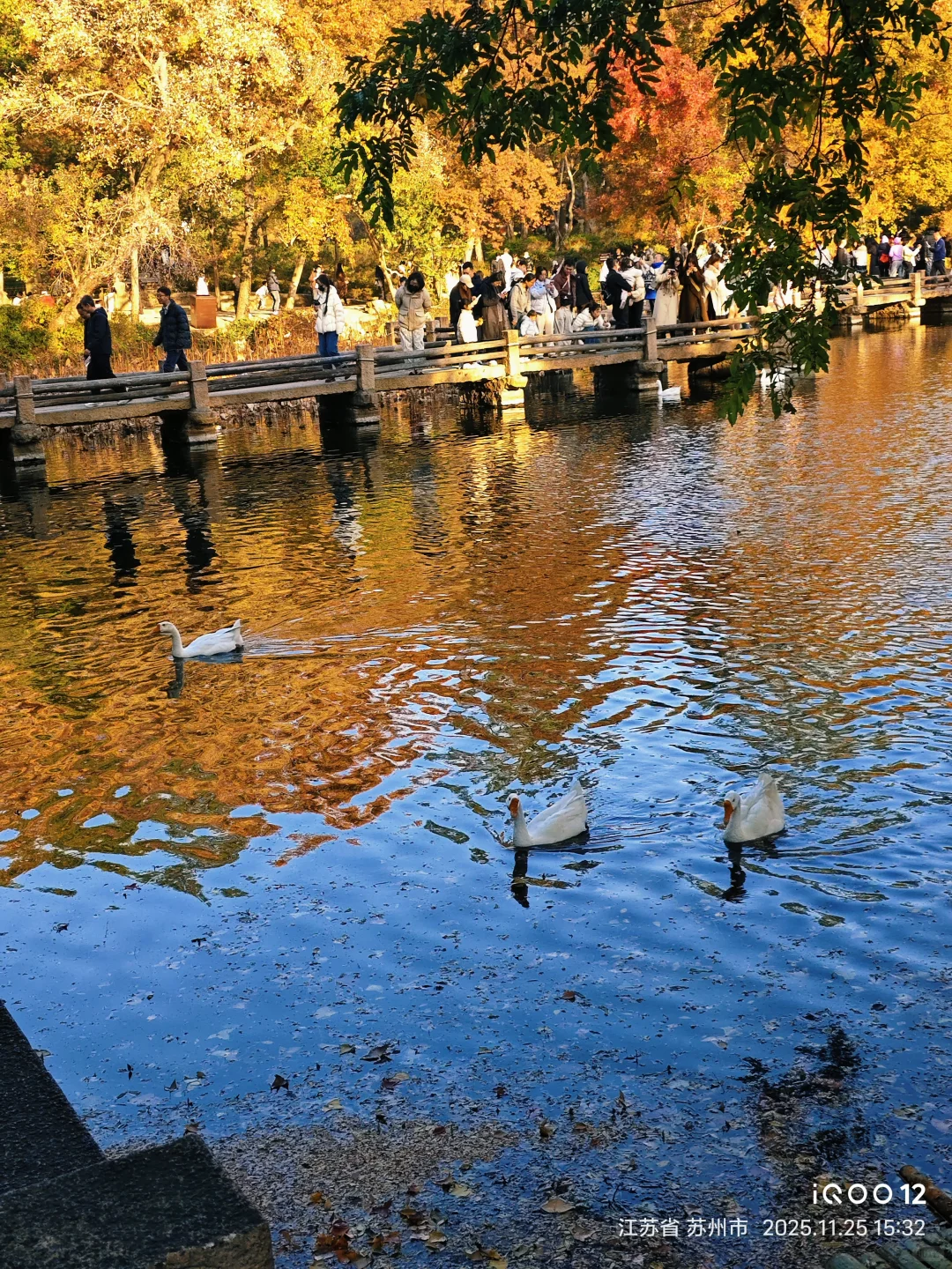 白毛浮绿水，红掌拨清波，天平山秋景美如画