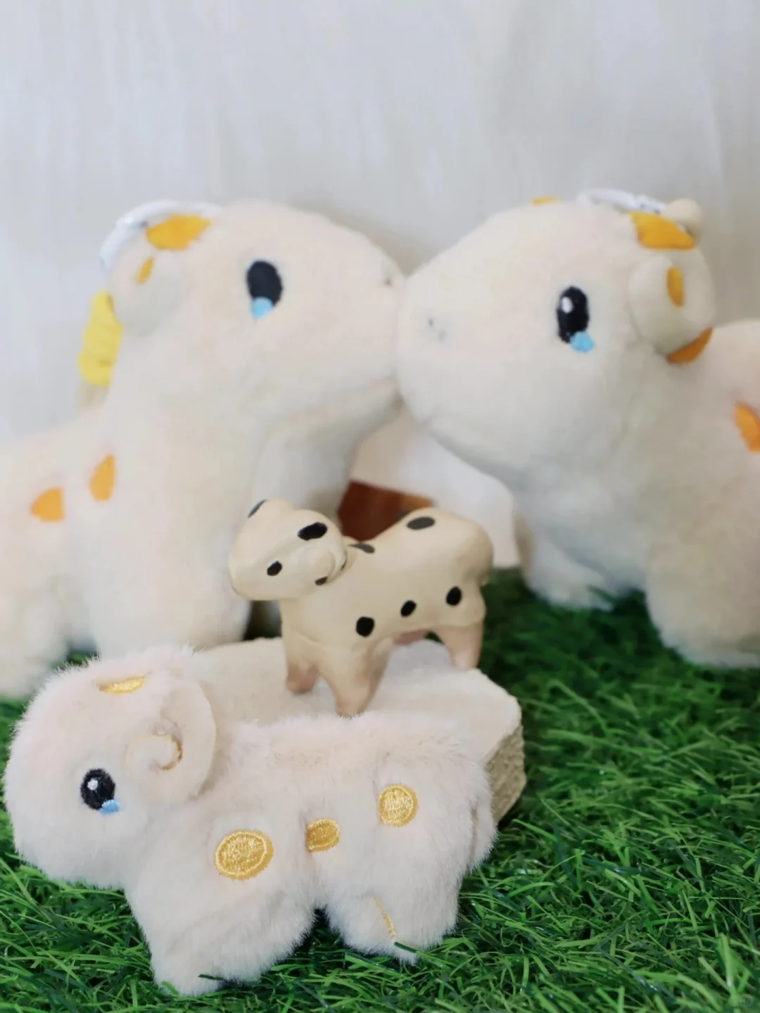 大同你，有点抽象了哈！