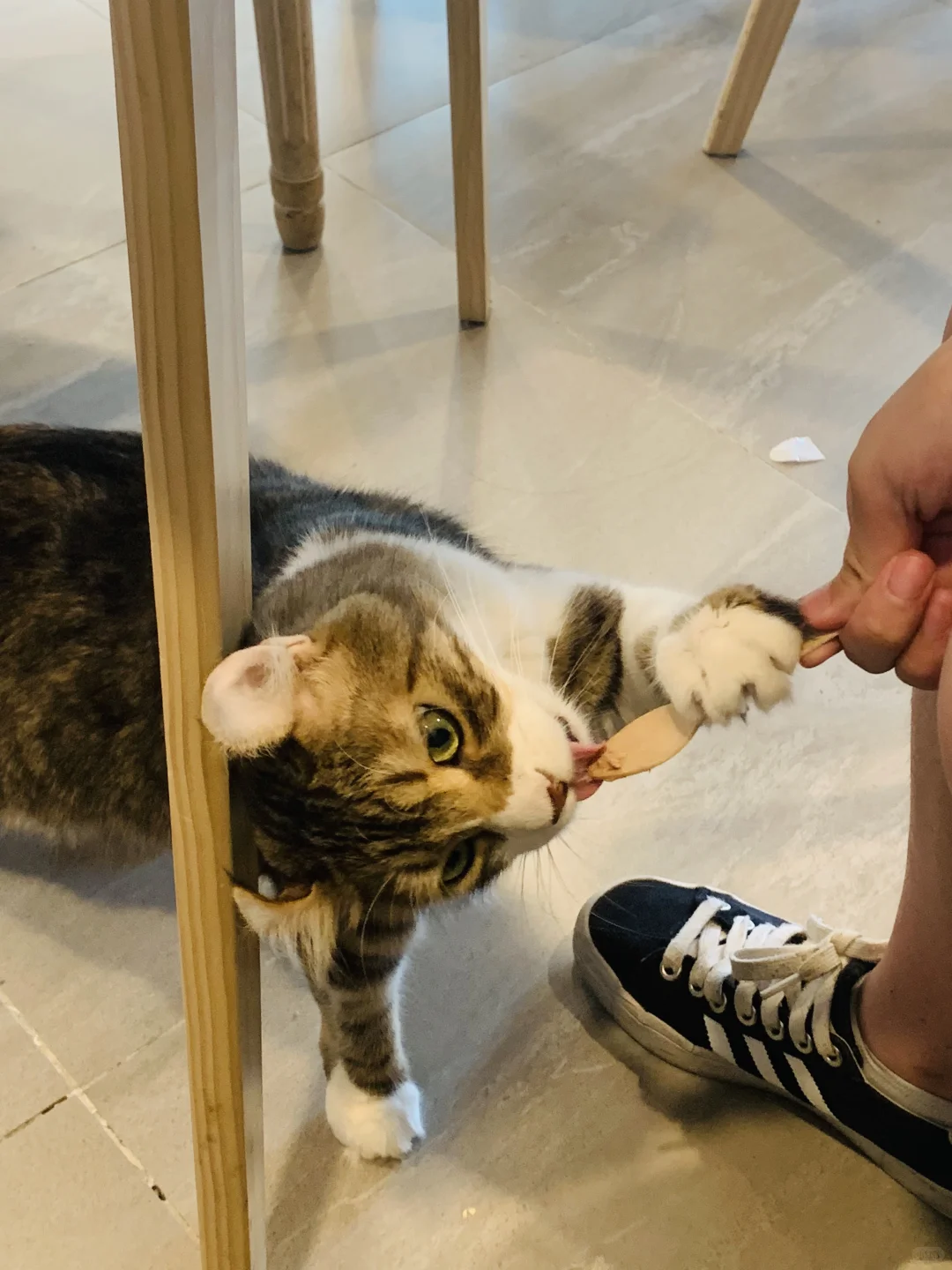 我只是犯了全天下女人都会犯的错🤫