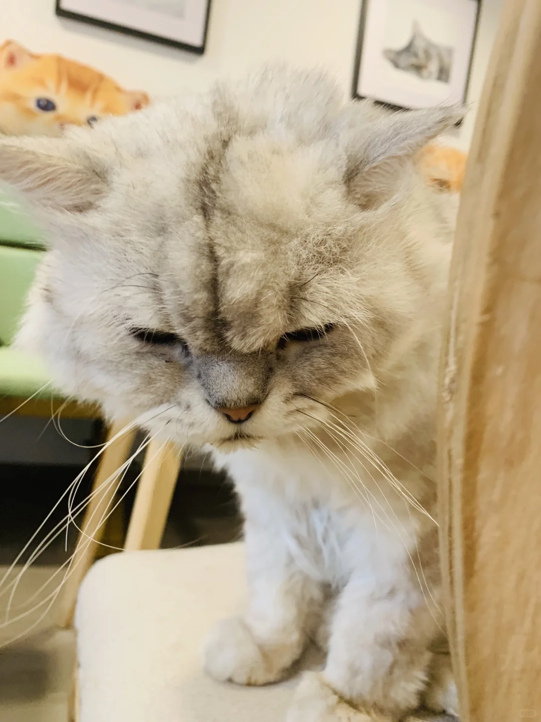 我只是犯了全天下女人都会犯的错🤫