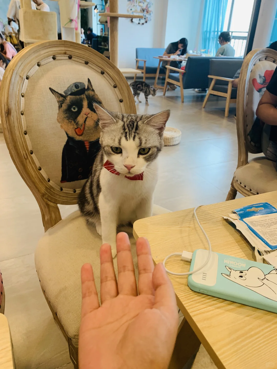 我只是犯了全天下女人都会犯的错🤫