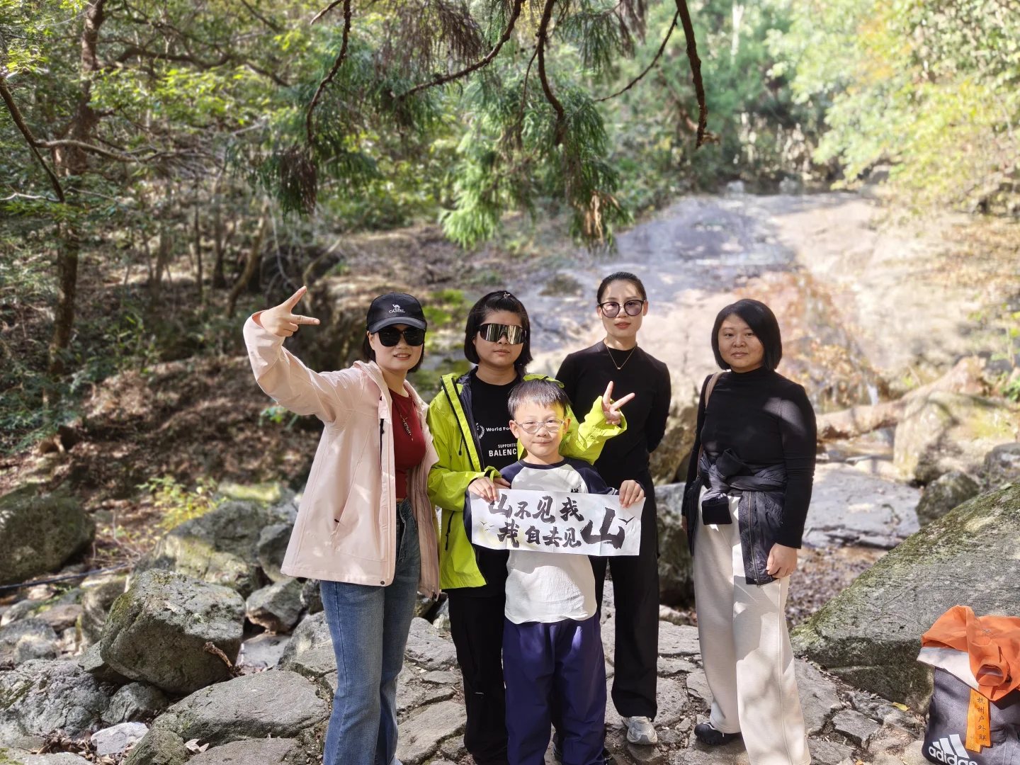 天目山风景#大树王#11月29日#杭州组织团