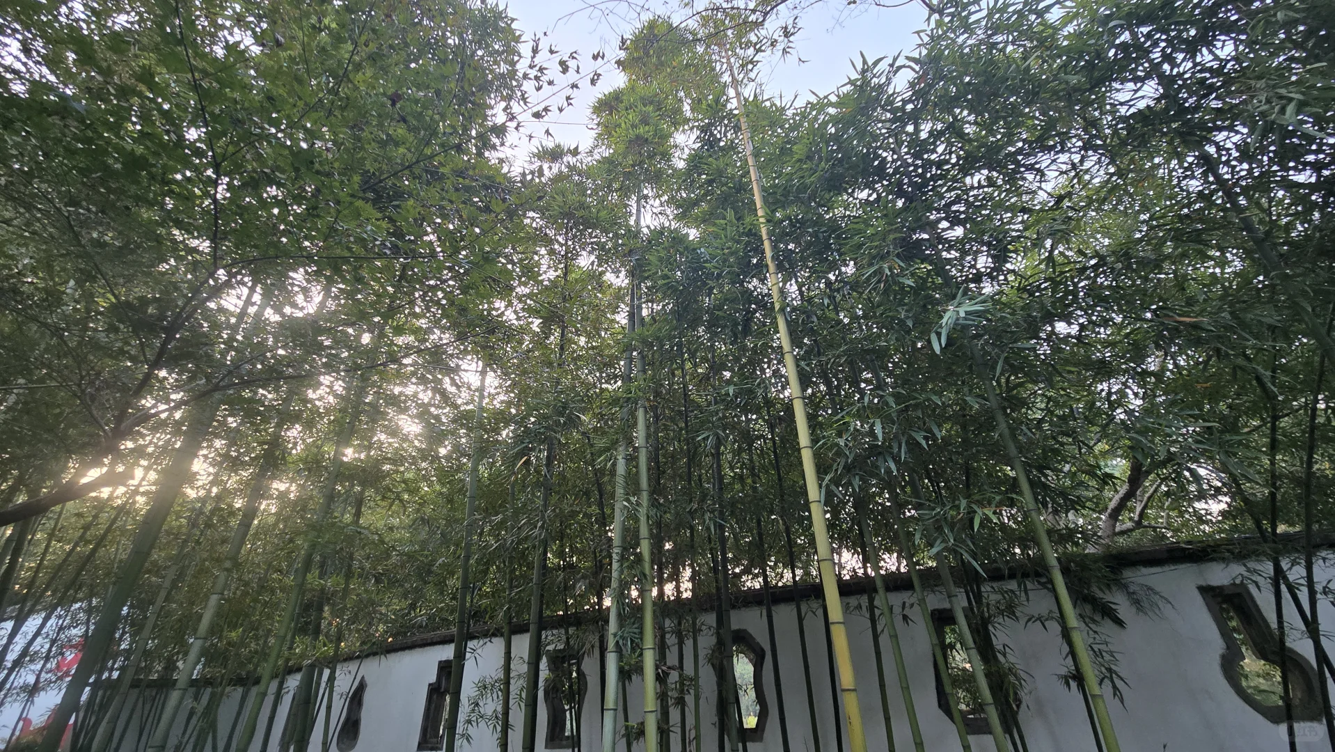 郁郁黄花，无非般若。青青翠竹，尽是法身。