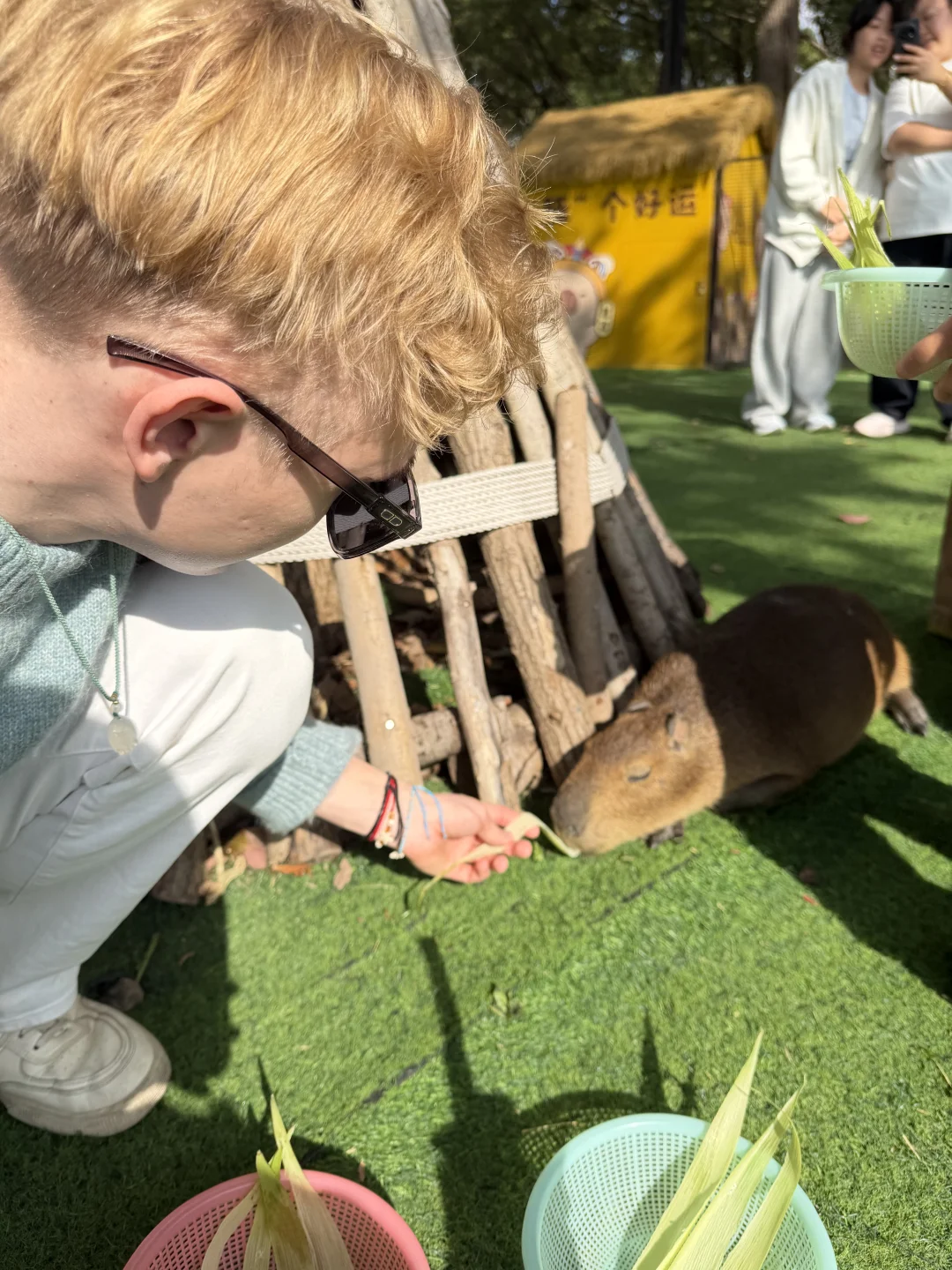 就是您的瑞典尤物，不是您的瑞典动物!