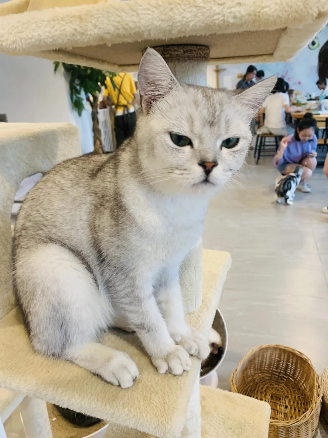 我只是犯了全天下女人都会犯的错🤫