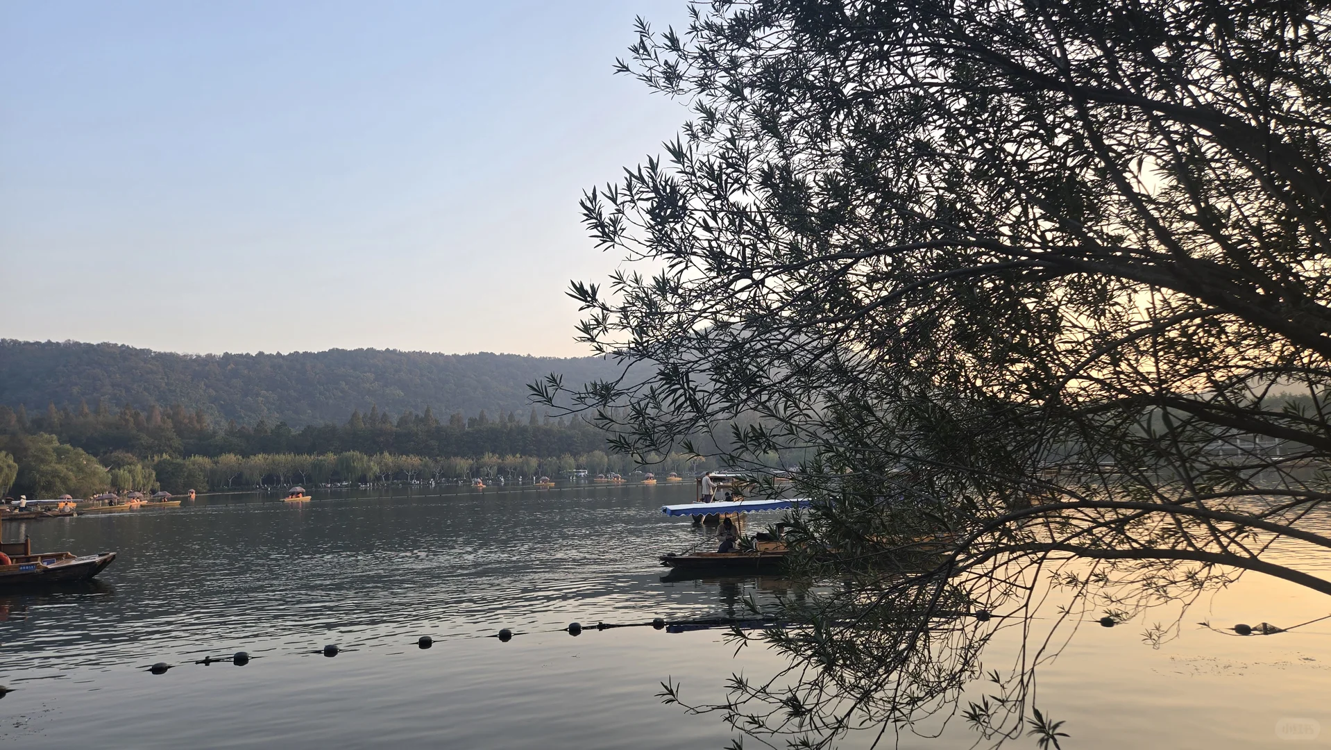 郁郁黄花，无非般若。青青翠竹，尽是法身。