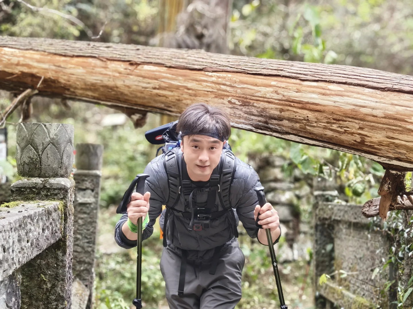 天目山风景#大树王#11月29日#杭州组织团