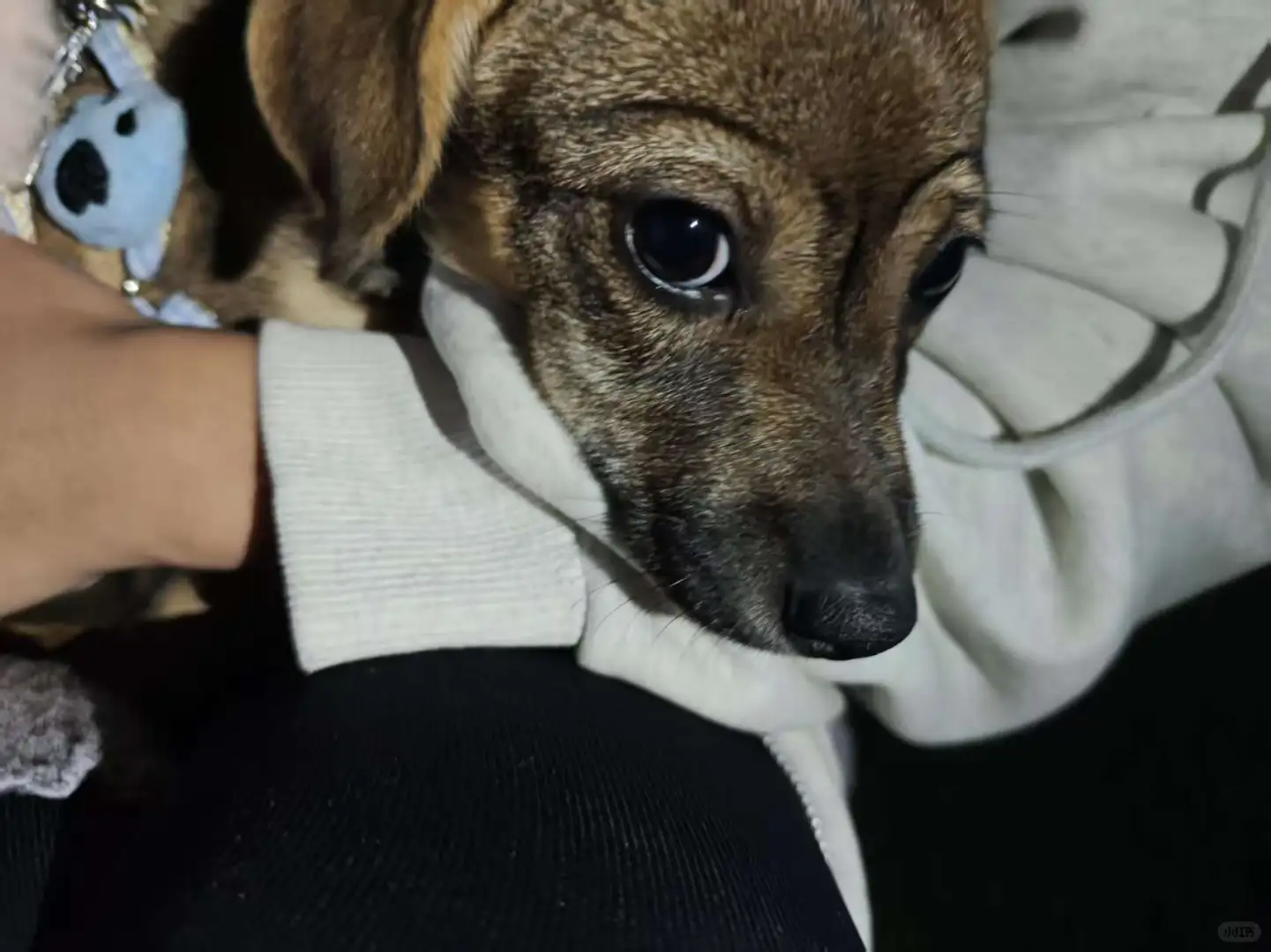 宝宝你是个尤物