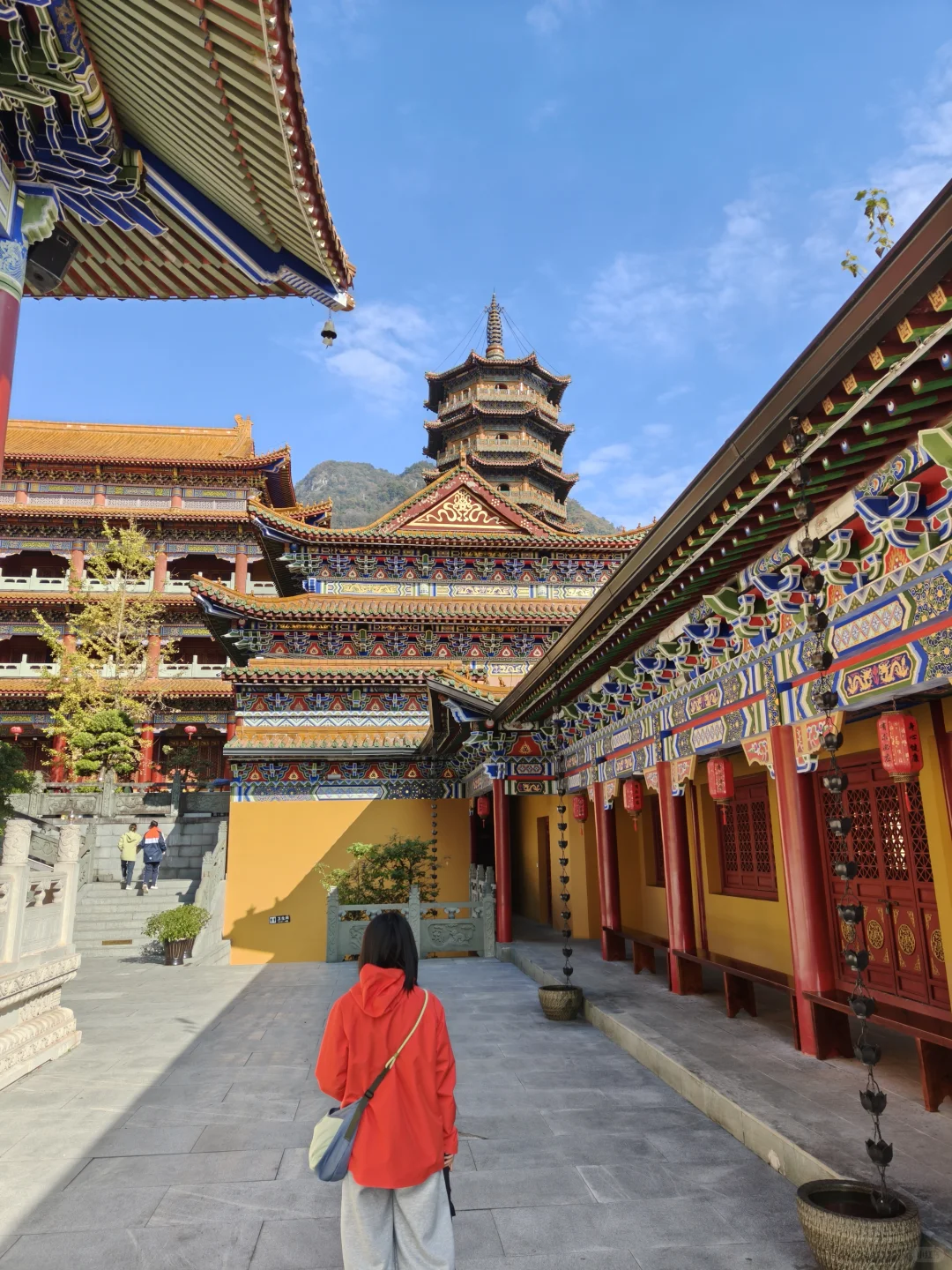 天目山风景#大树王#11月29日#杭州组织团