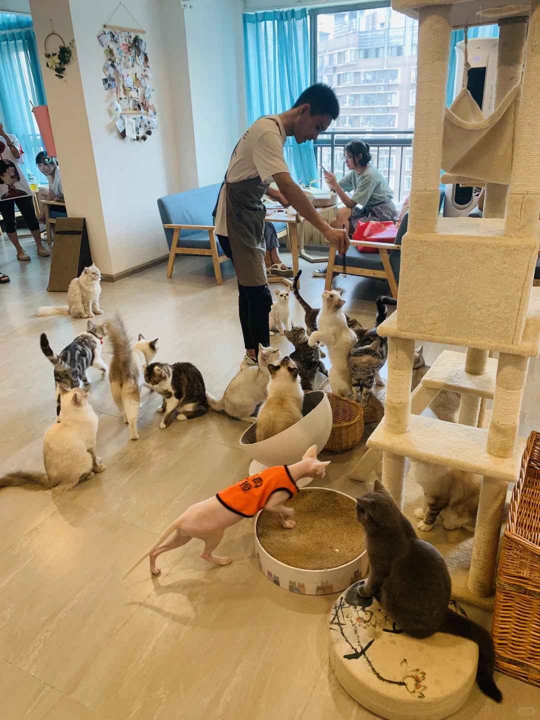 我只是犯了全天下女人都会犯的错🤫