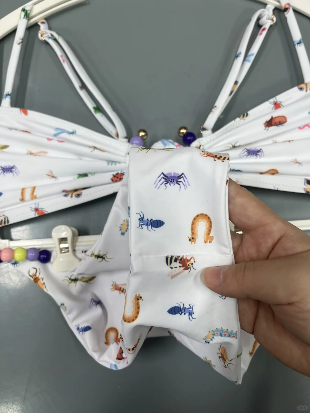 泳衣定制｜昆虫爱好者专属