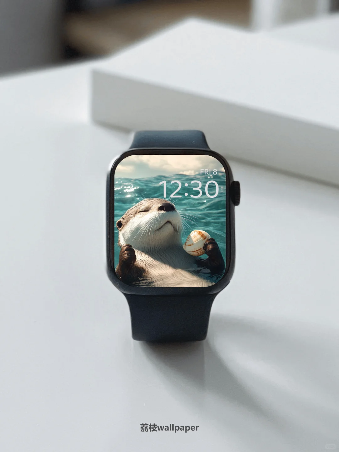 040｜简约高清壁纸｜慵懒海獭