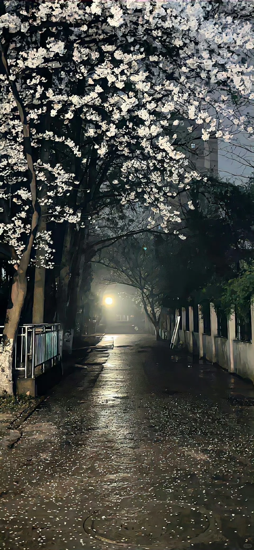 ins风壁纸/聊天背景图