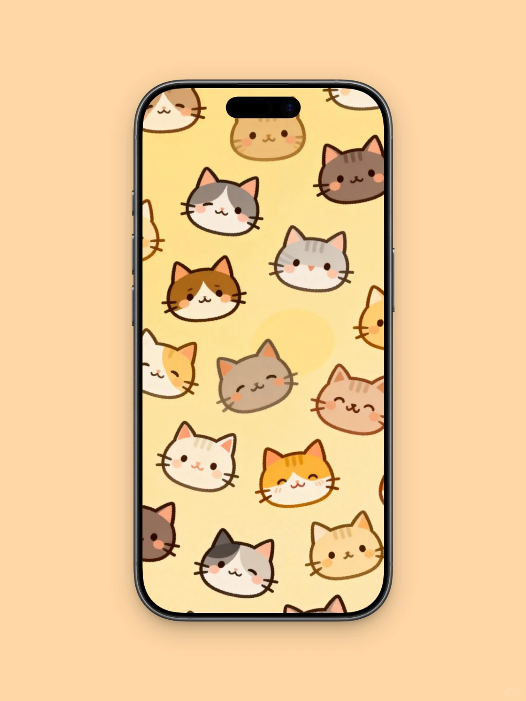 每日壁纸分享——满屏猫猫系列（手机版）