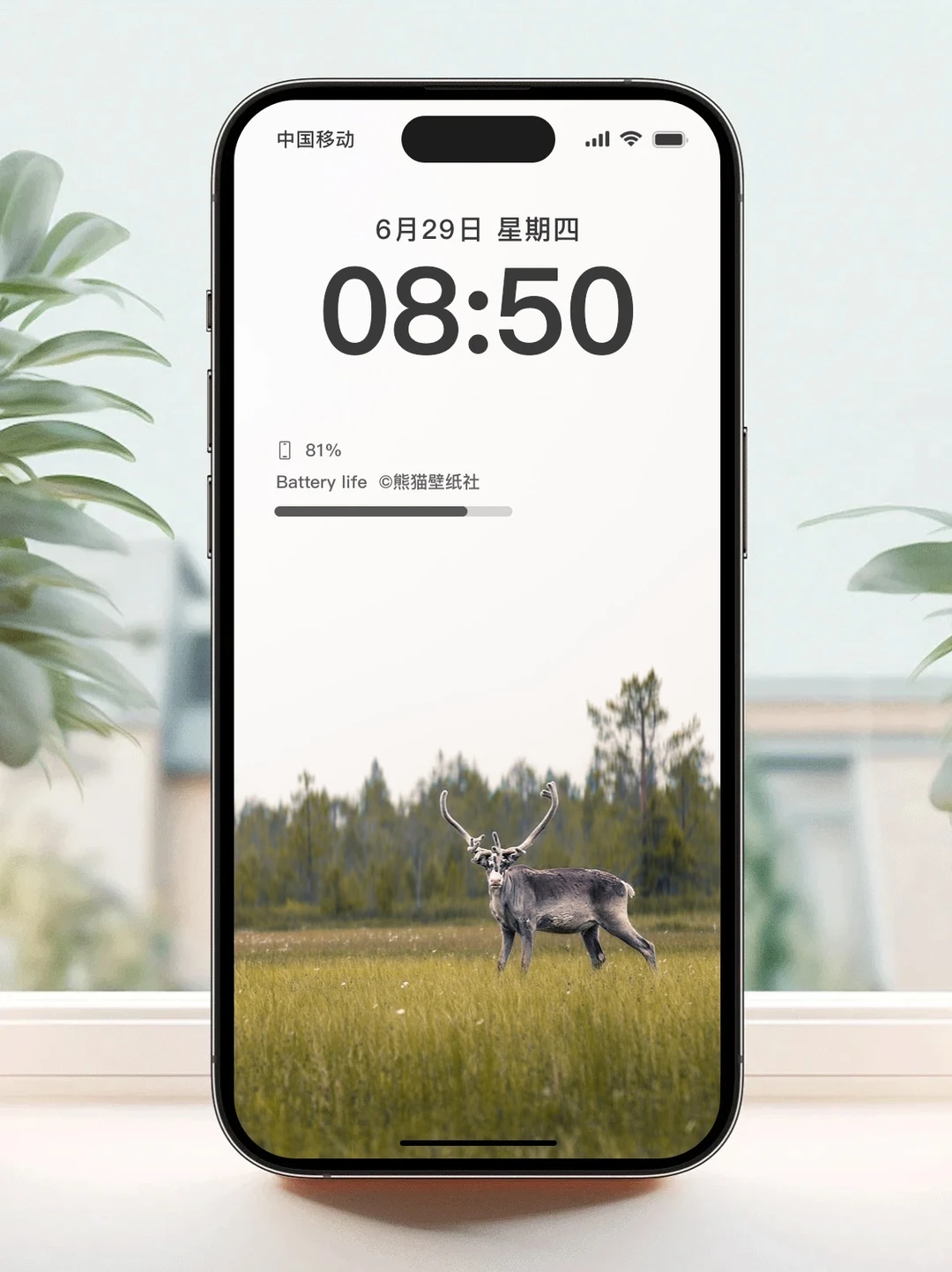 手机壁纸｜户外风景壁纸分享～