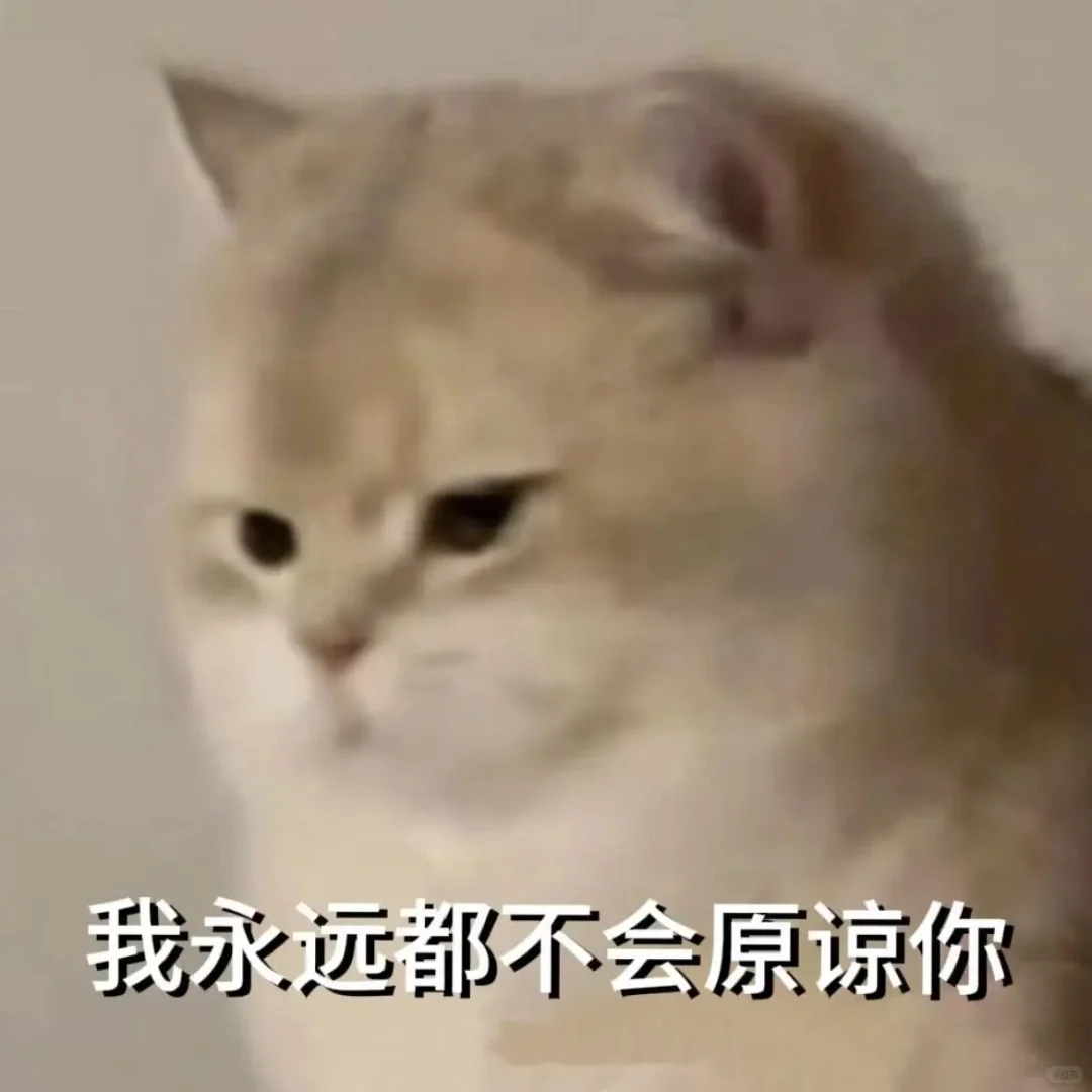 全方面完蛋！！！