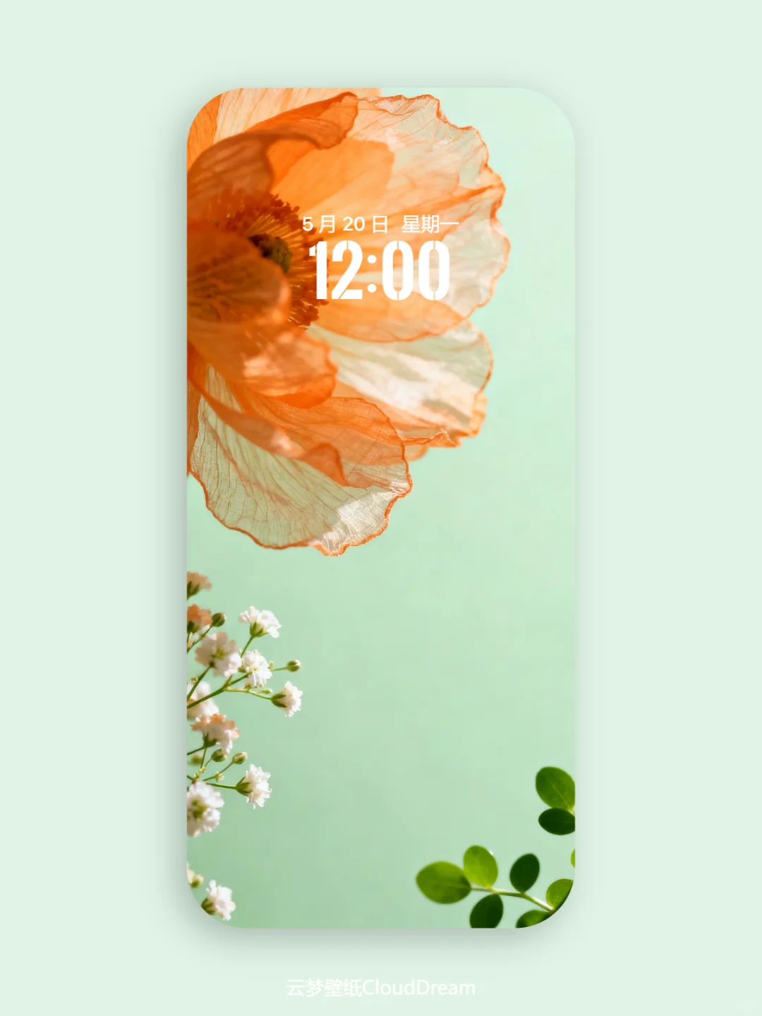 A225-小众又高级的壁纸，绝绝子！