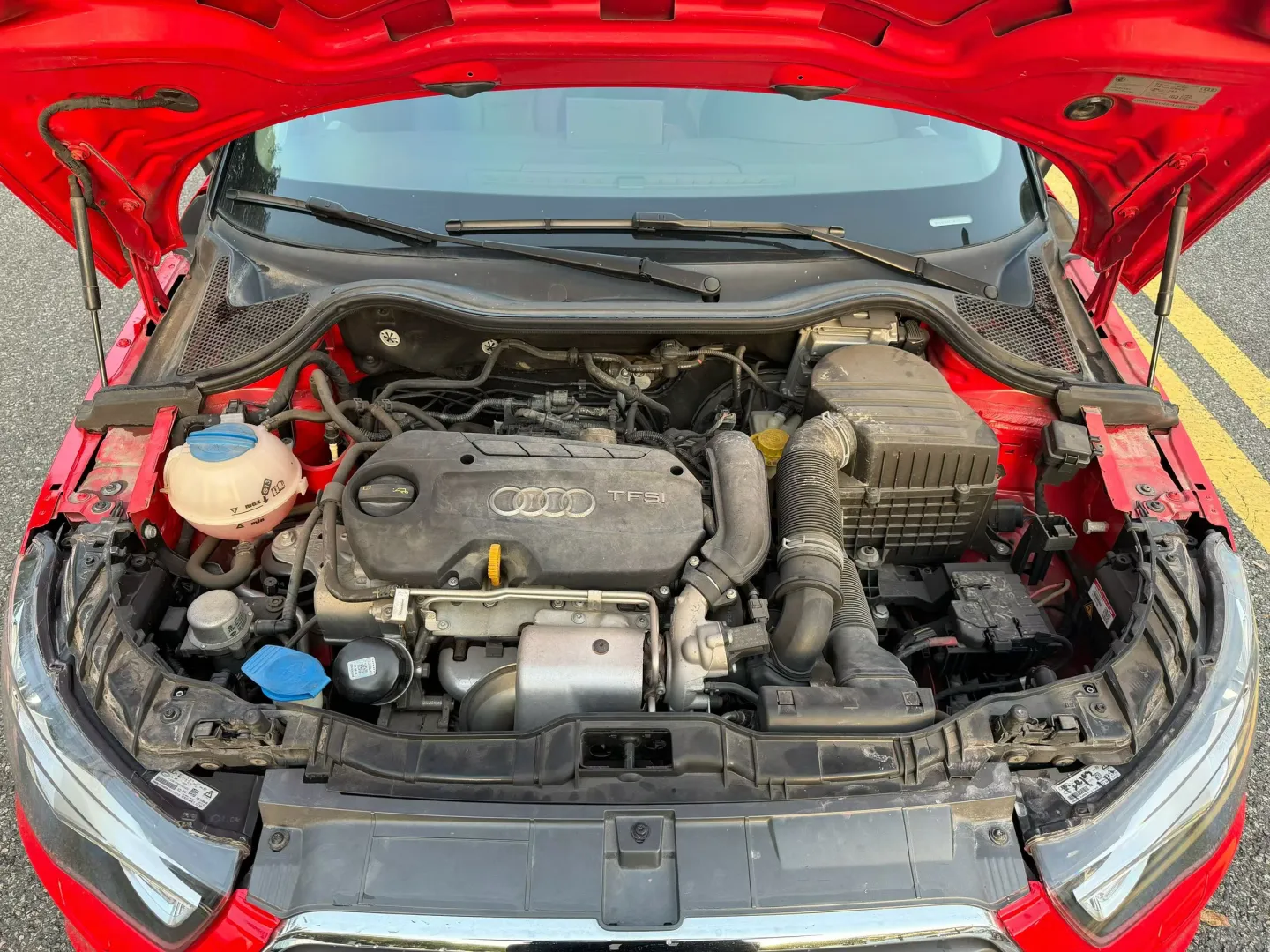 茶博士s奥迪A1 有意到店 非诚勿扰