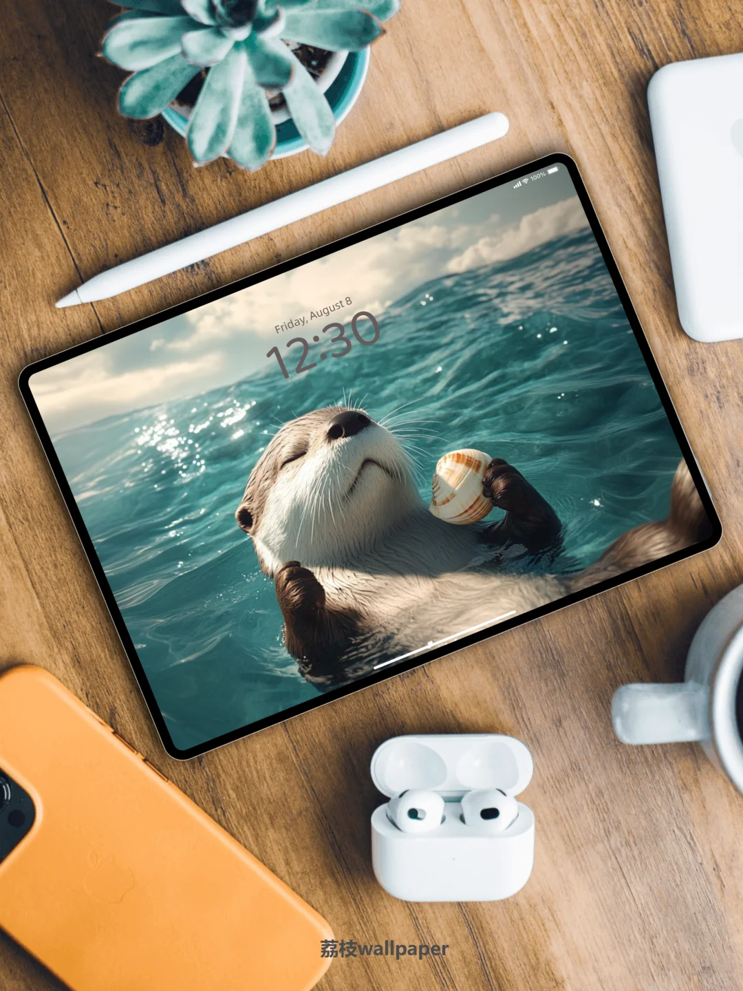 040｜简约高清壁纸｜慵懒海獭