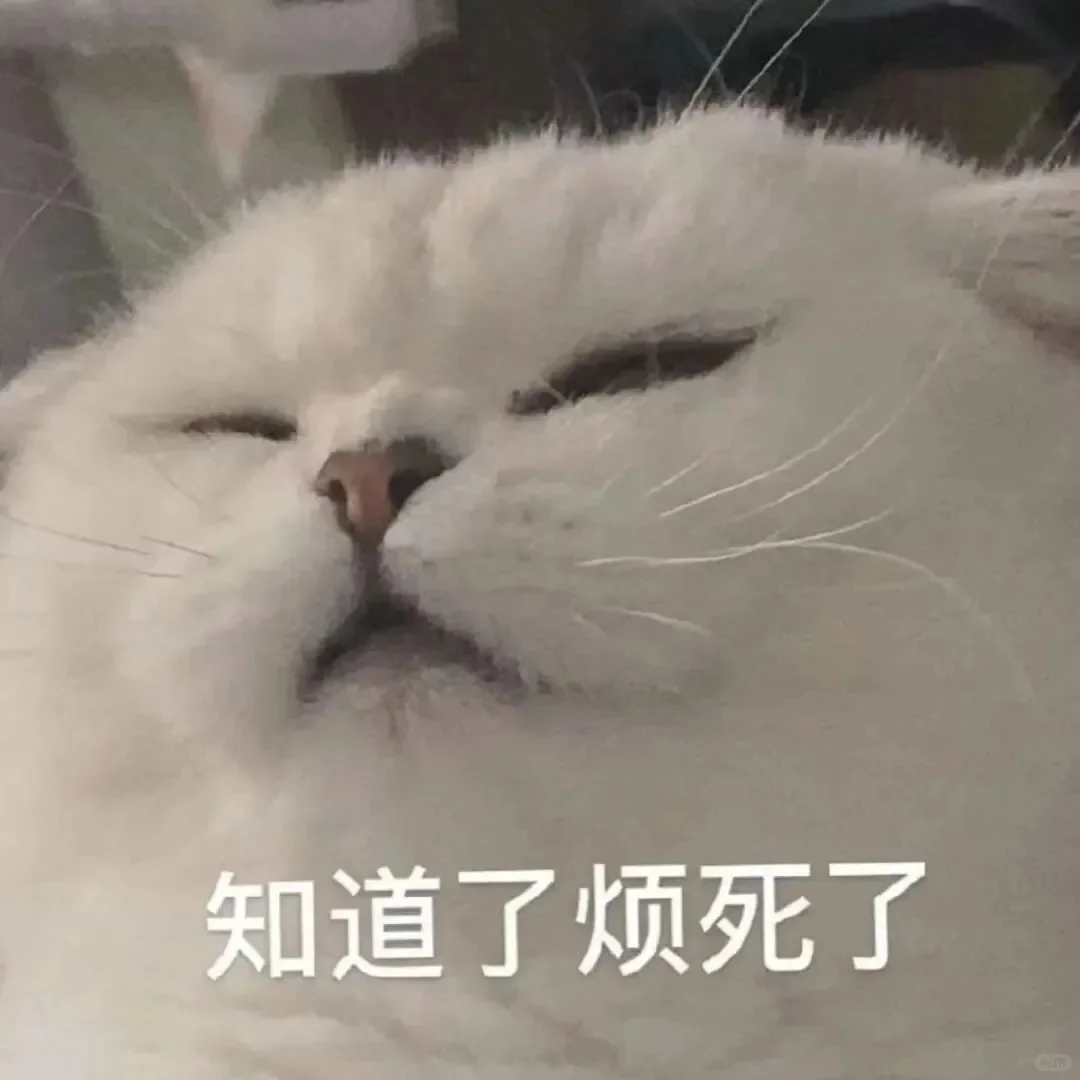 全方面完蛋！！！