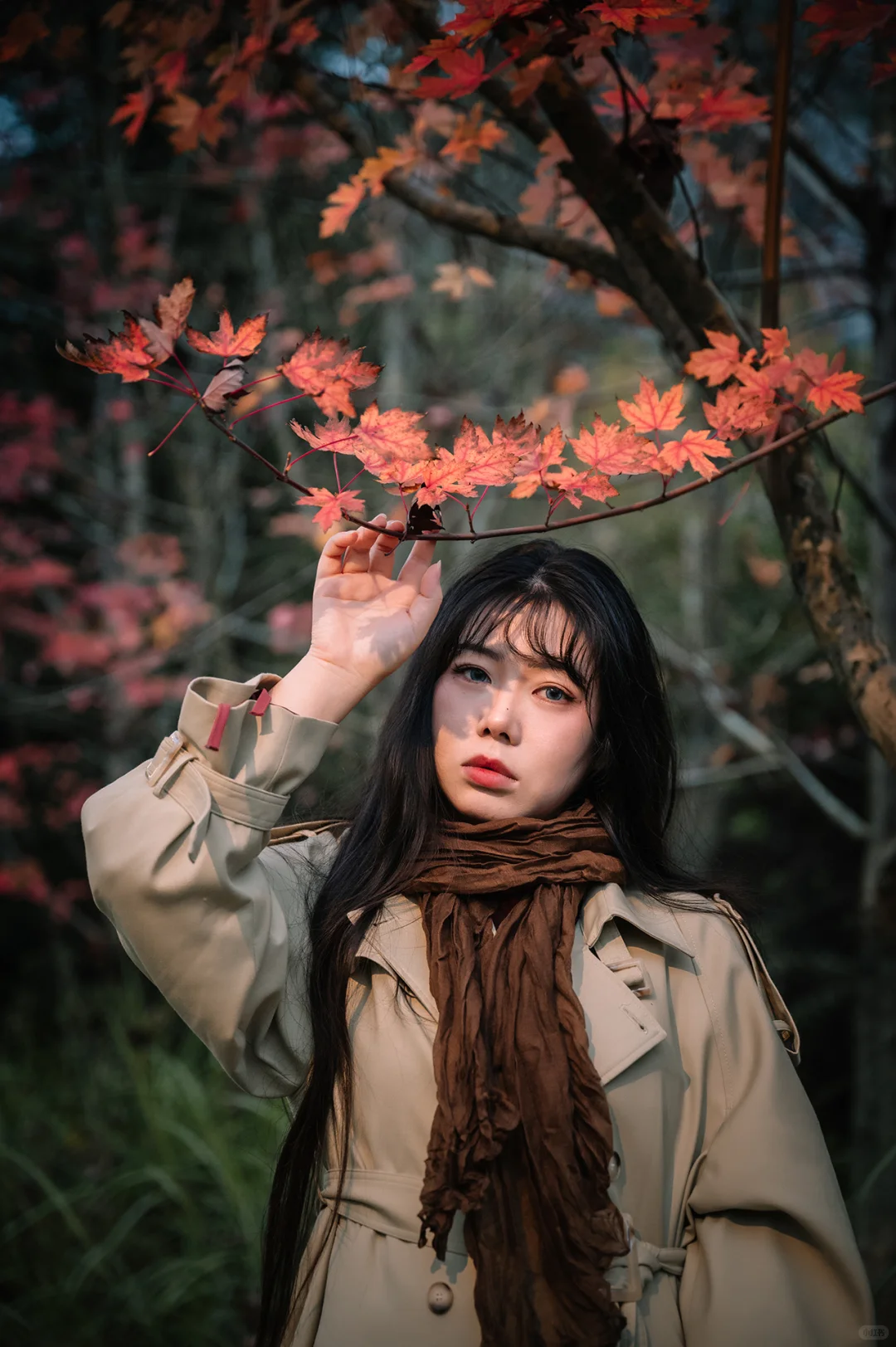 不去人挤人，在一棵枫树旁拍了一组写真