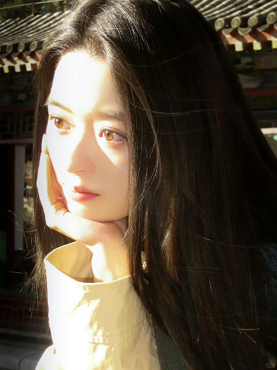 黄杨钿甜晒美照