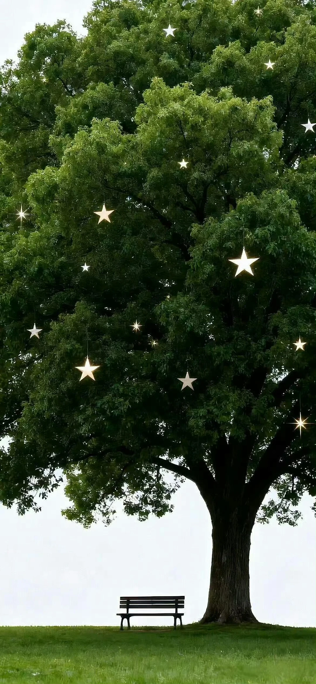 可爱壁纸啦啦啦