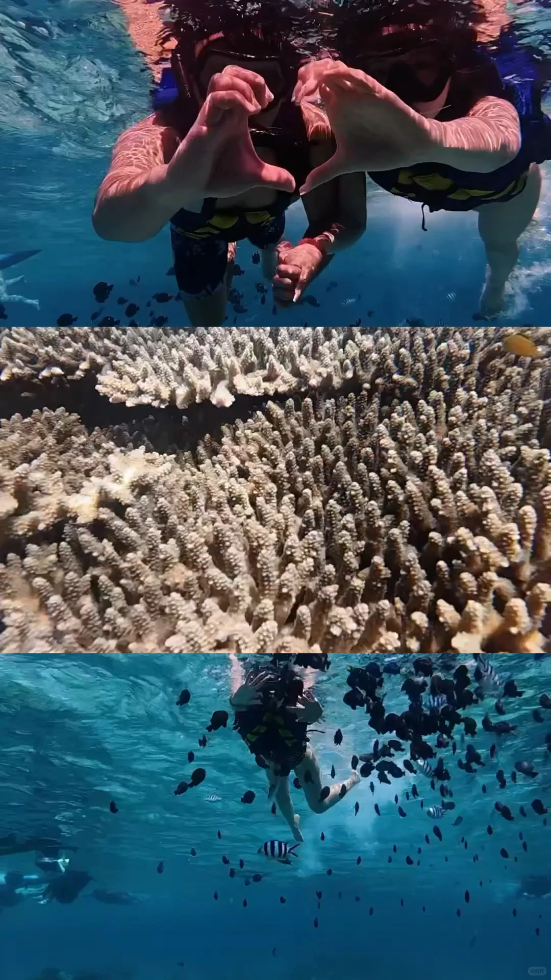 海岛出片密码！2件「玩水+拍照」神器💦