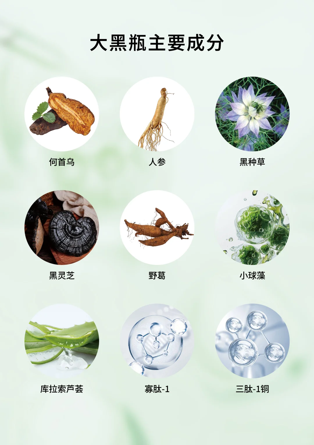 🎉终于找到遮白发的本命神器！✨