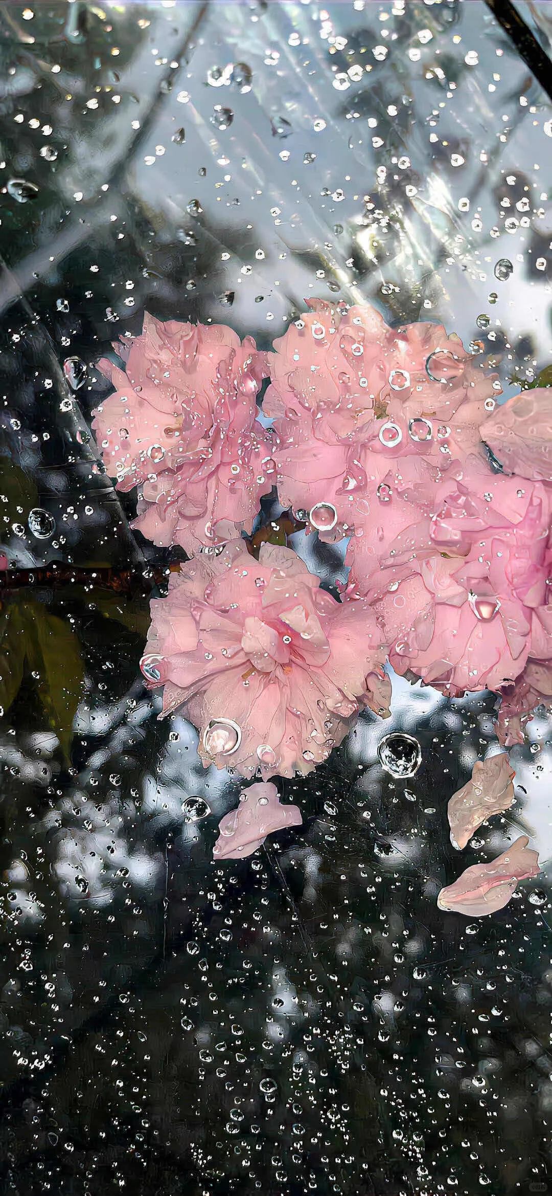 iOS26景深壁纸|iOS26空间壁纸 | 手机壁纸