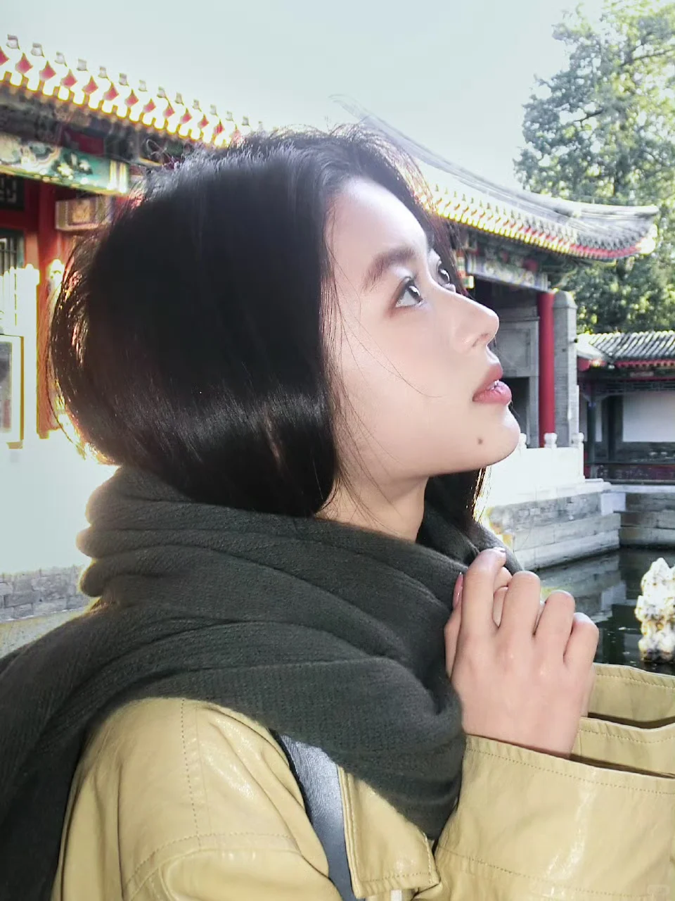 黄杨钿甜晒美照