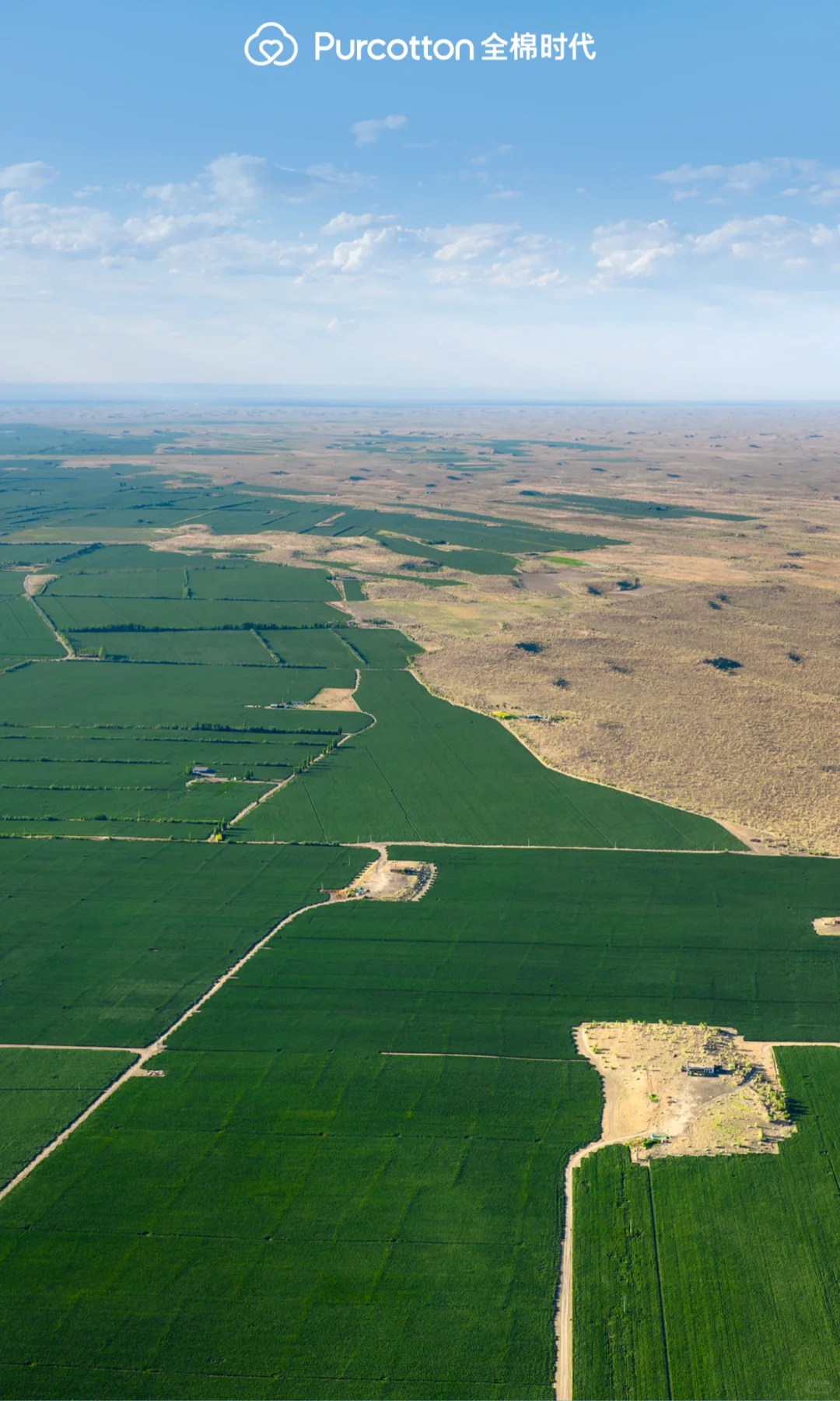 📸棉田摄影大片｜解锁你的专属屏保
