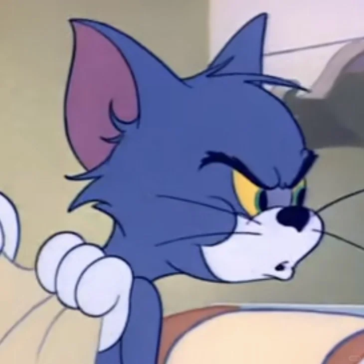 Tom and Jerry｜猫和老鼠表情包 36