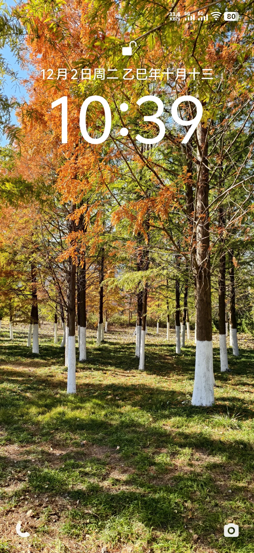 谁懂啊，好喜欢我的壁纸啊！