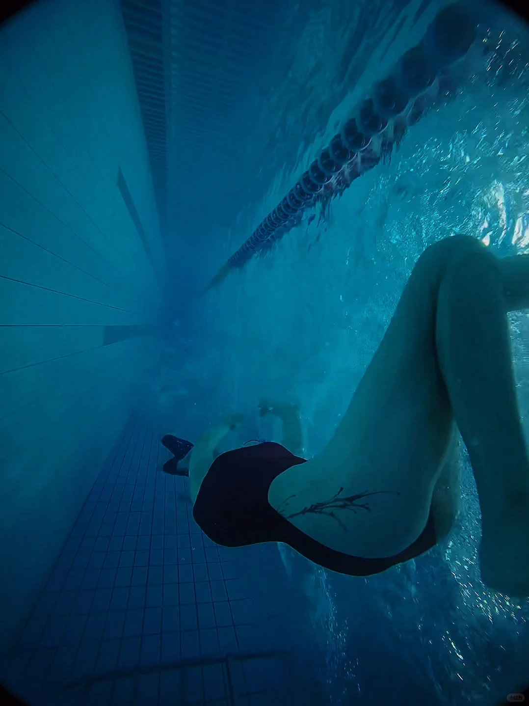 恰到好处的安哥拉红 🔴