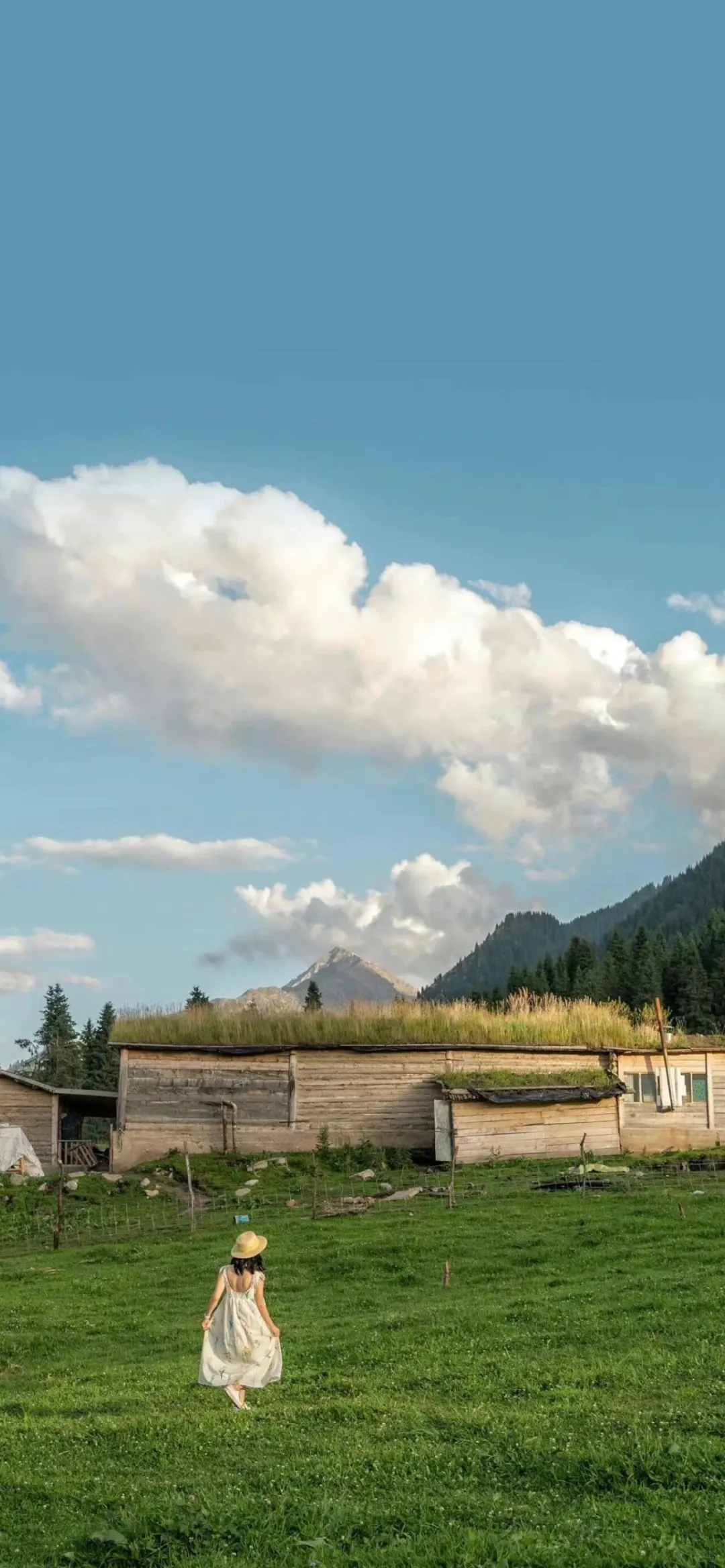 剩1格电也要换的壁纸